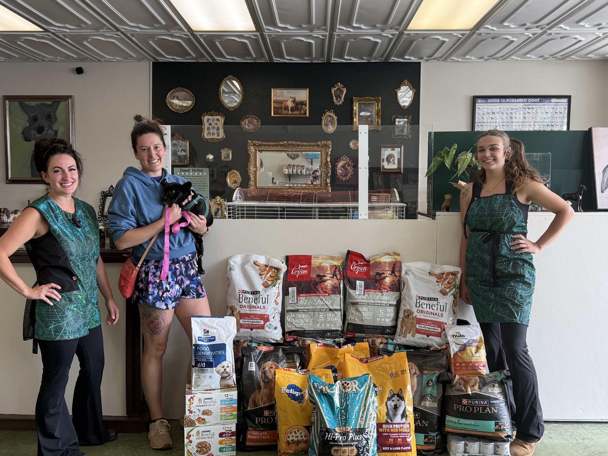 Lucky Dog Grooming Lincoln City