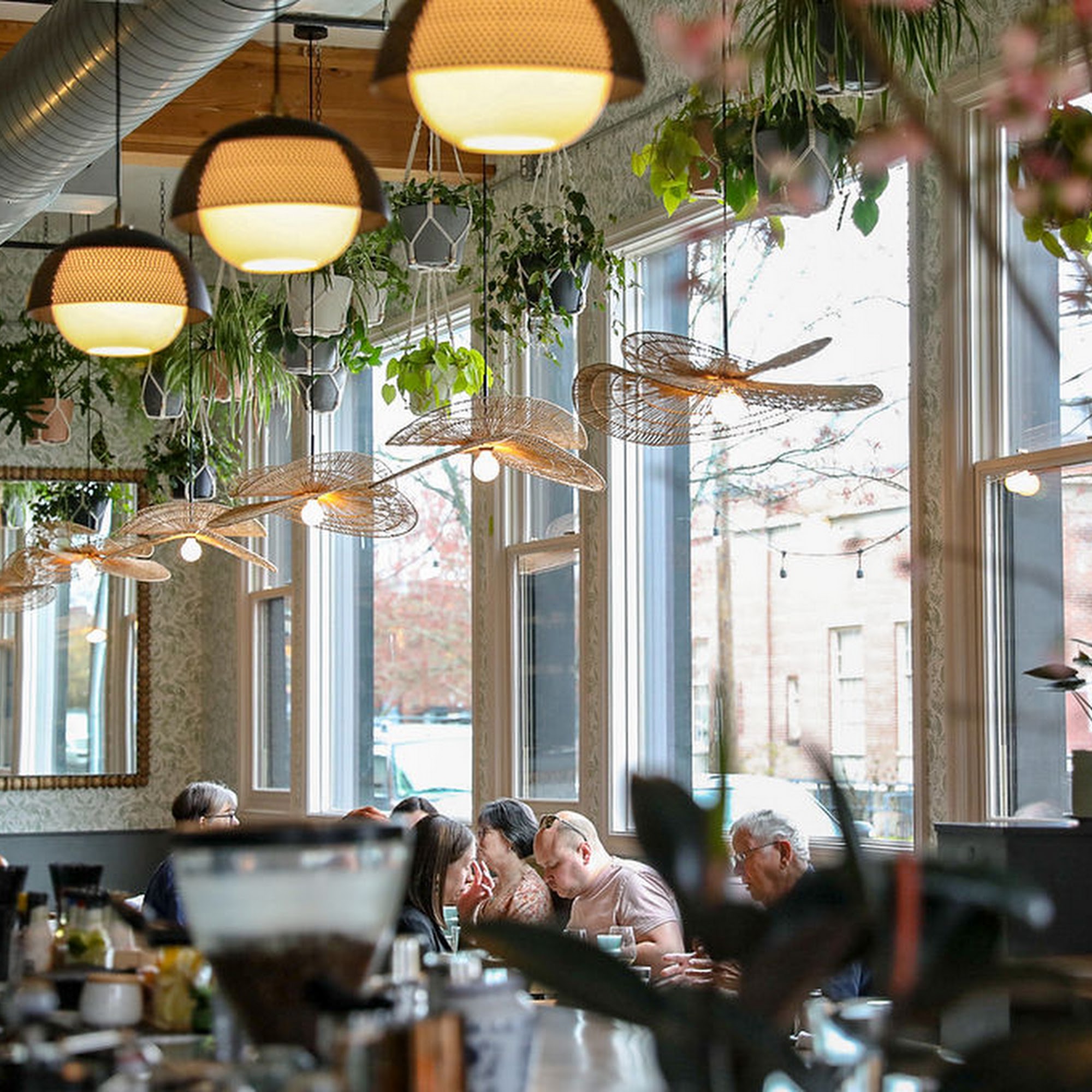 Cypress at the Atticus Hotel McMinnville