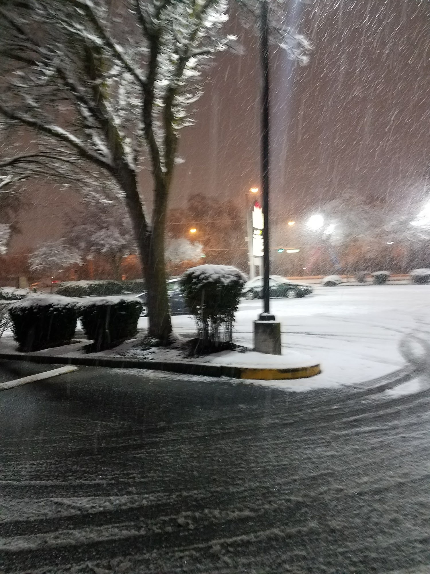Subway (Biddle Rd)