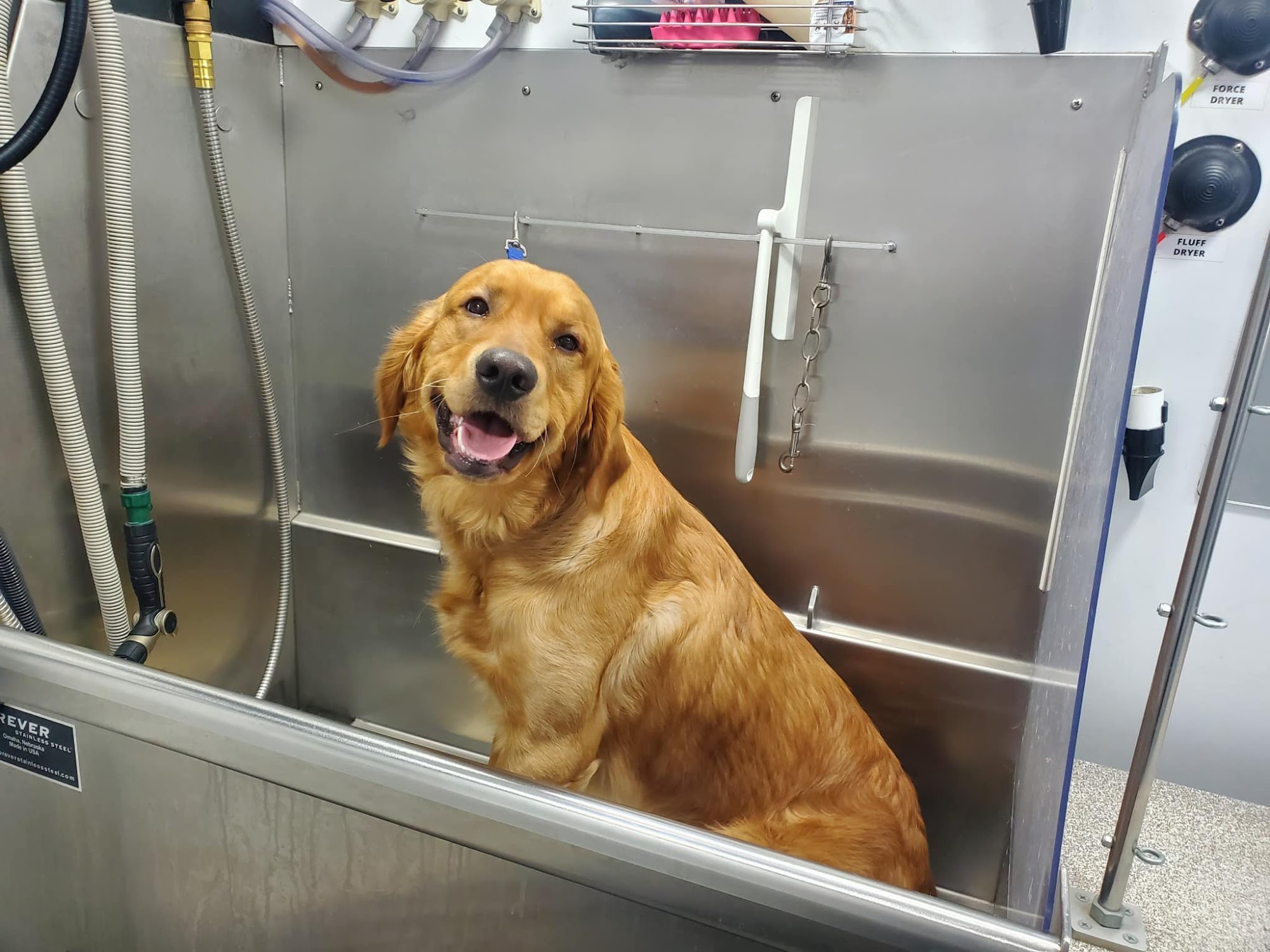 Shampooch Mobile Grooming Medford