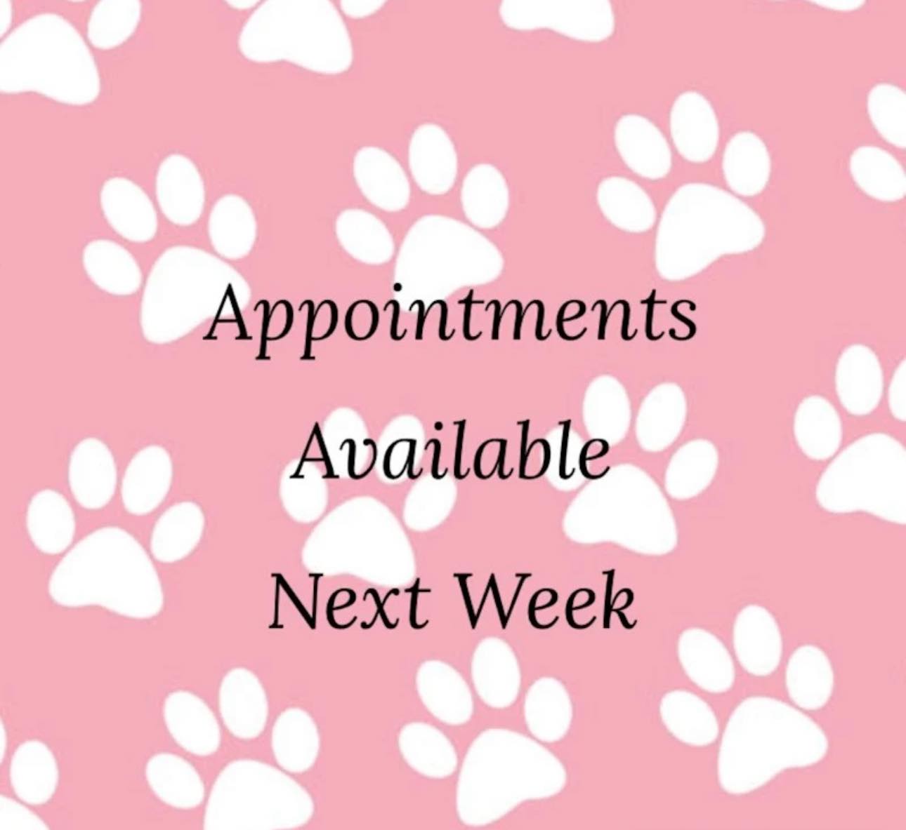 Grooming At Tiffani's Molalla