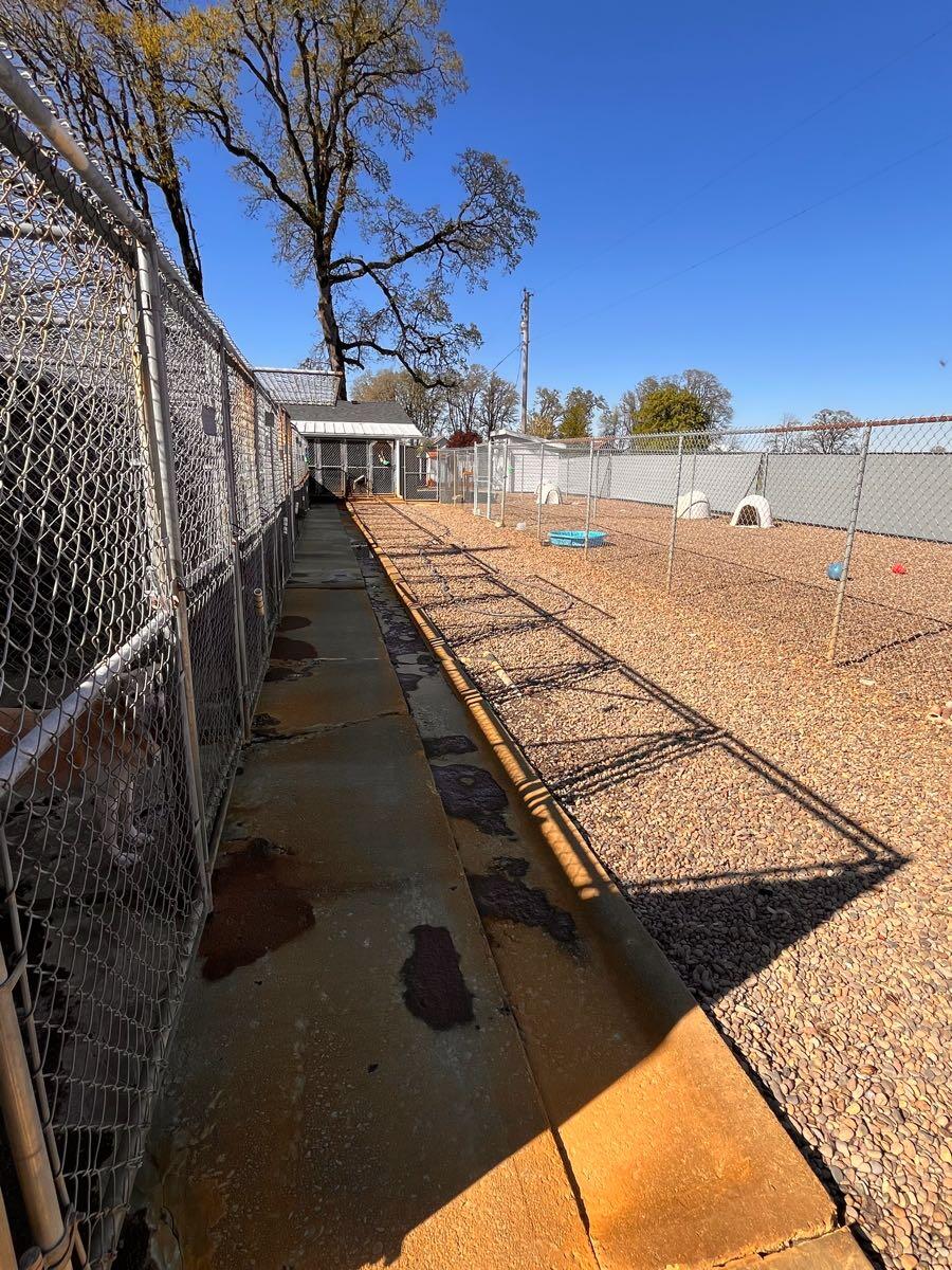 Oak Grove Kennel Monmouth