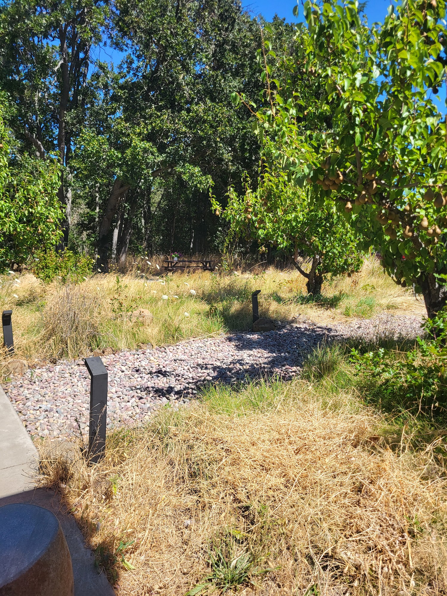 Idiot's Grace Wines Menu