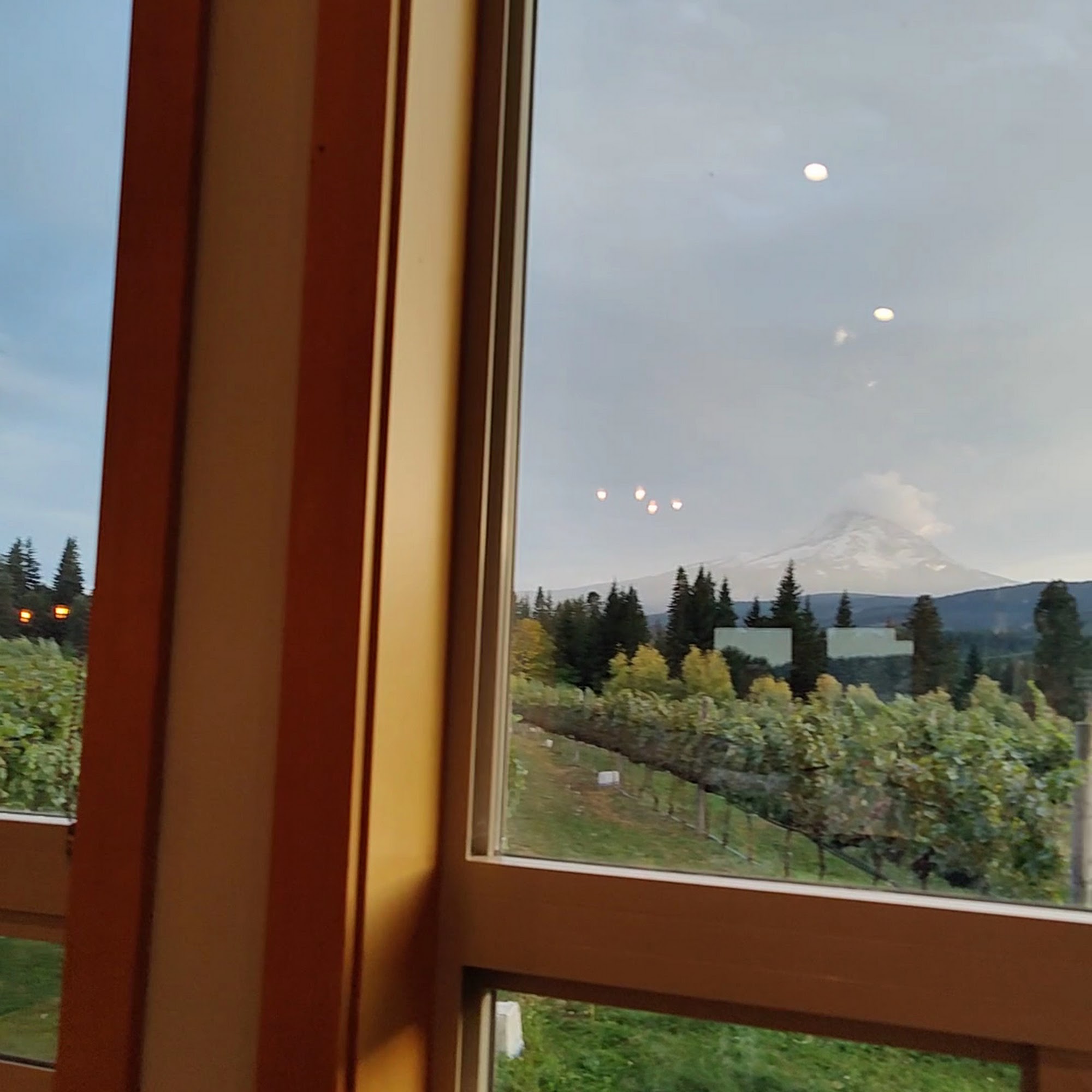 Grateful Vineyard Mount Hood
