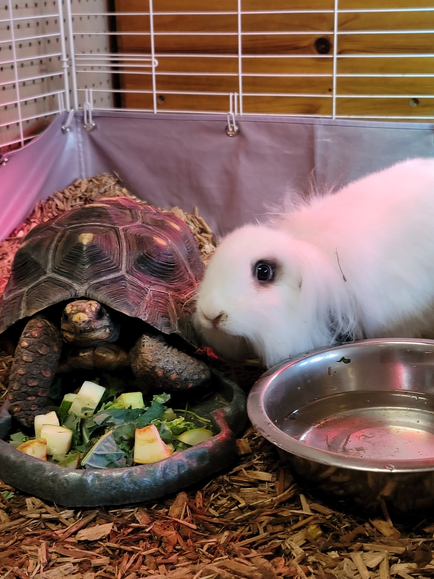 Schrader's Farm & Outdoor Myrtle Point