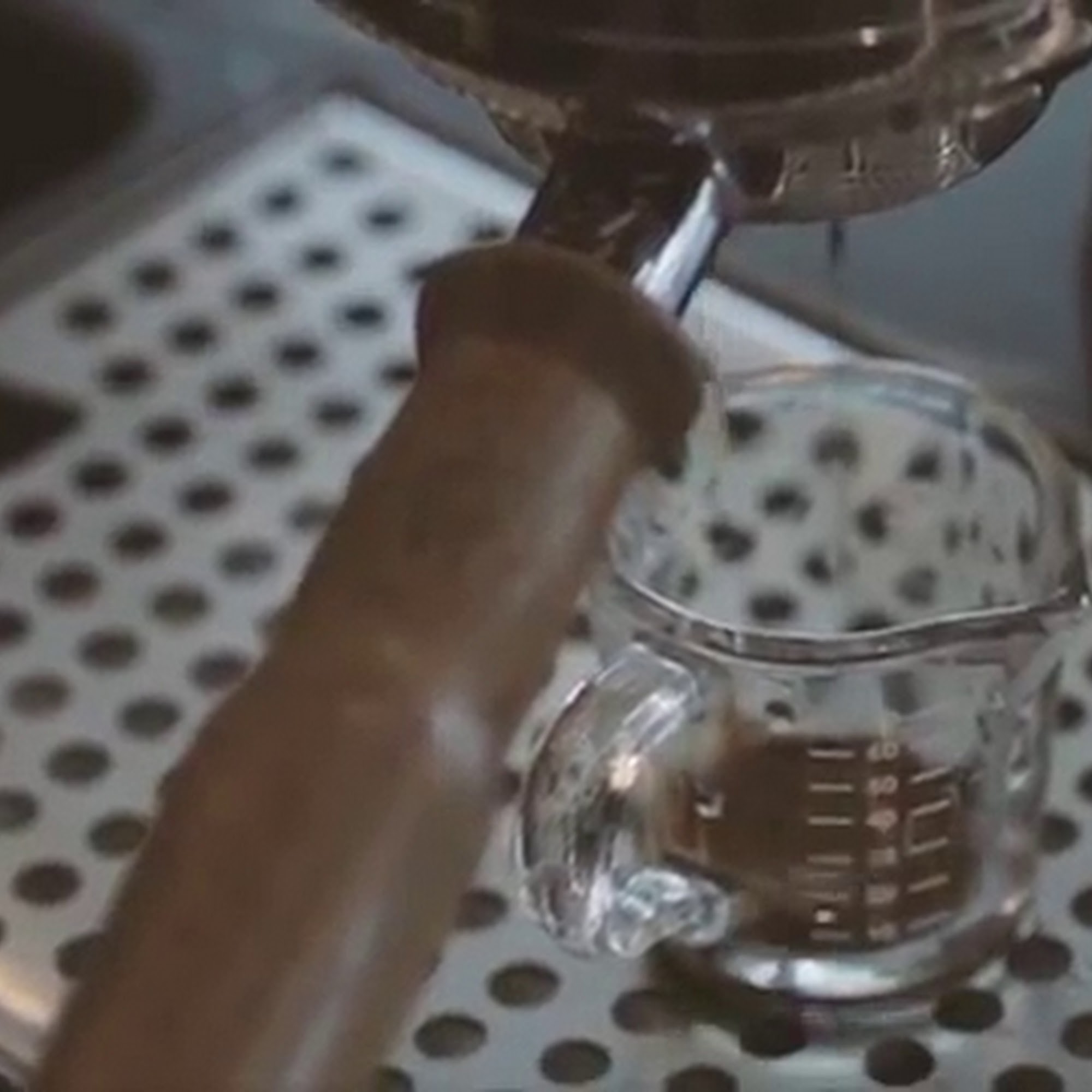 Caravan Coffee Newberg