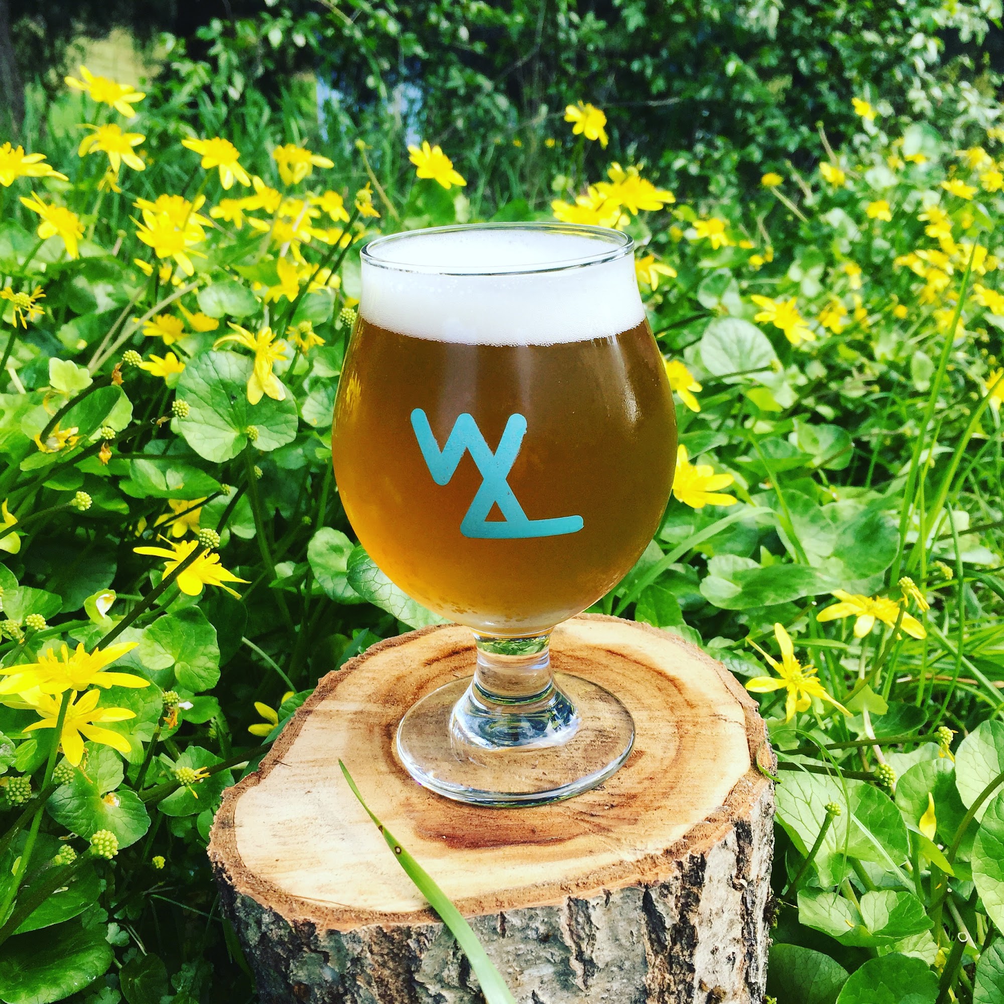 Wolves & People Farmhouse Brewery Newberg