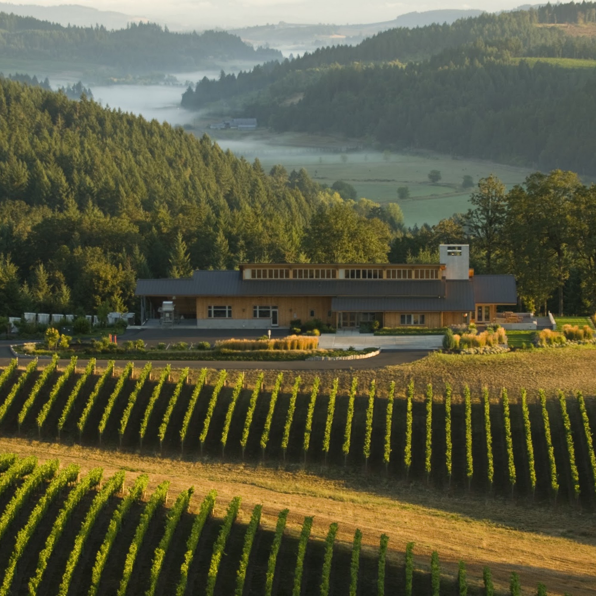 Penner-Ash Wine Cellars Newberg