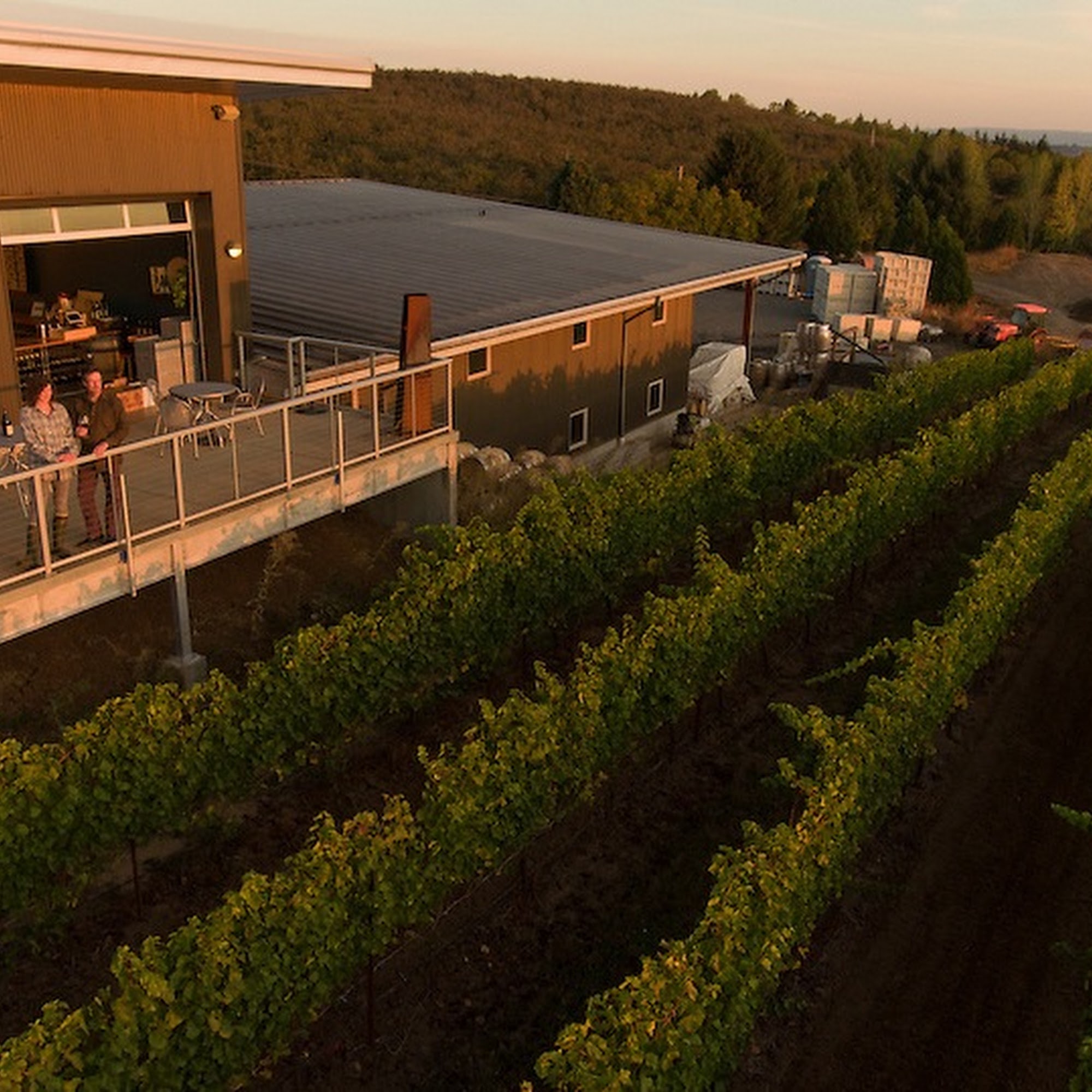 Raptor Ridge Winery Newberg