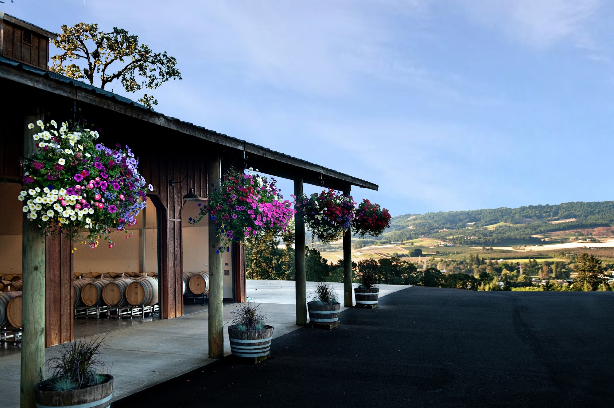 Anderson Family Vineyard Newberg