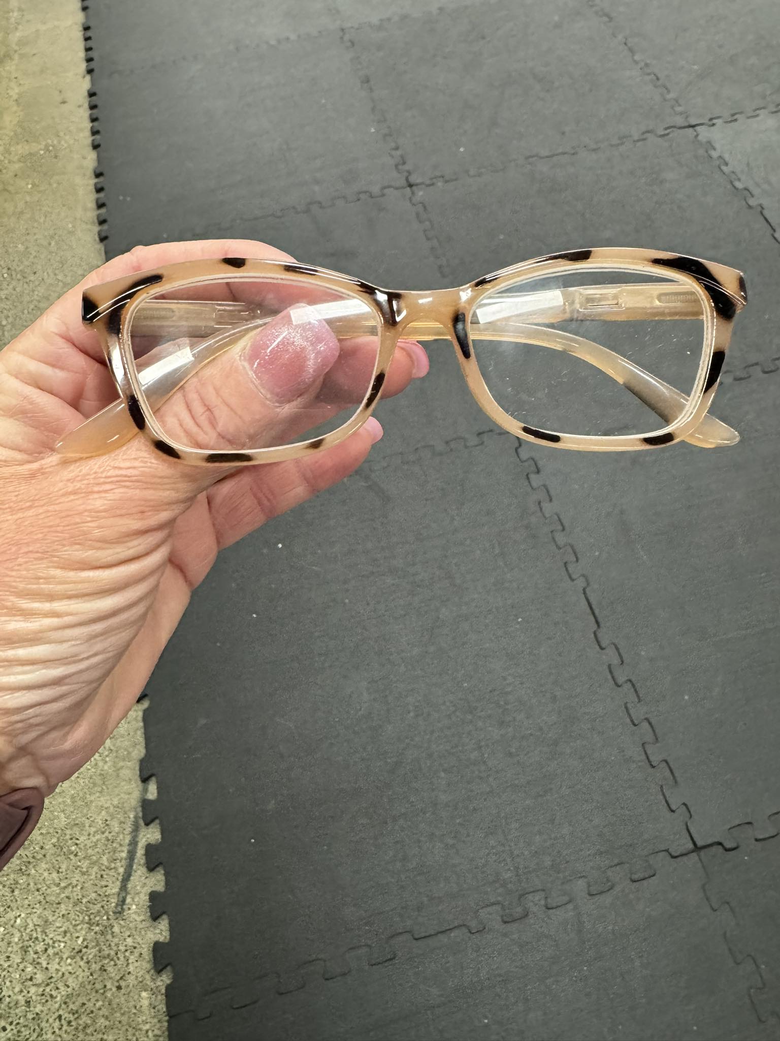 Campbell K9 University & Daycare LLC North Bend