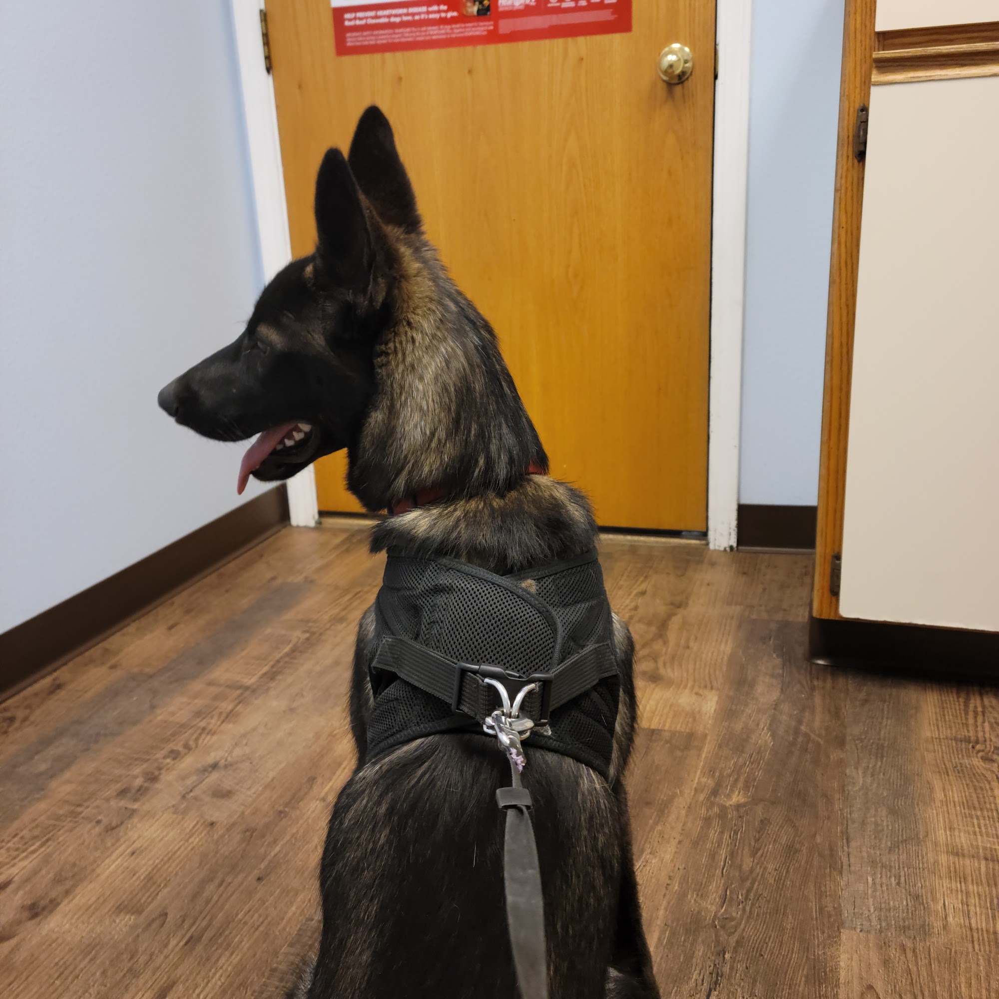 Four Rivers Veterinary Clinic Ontario