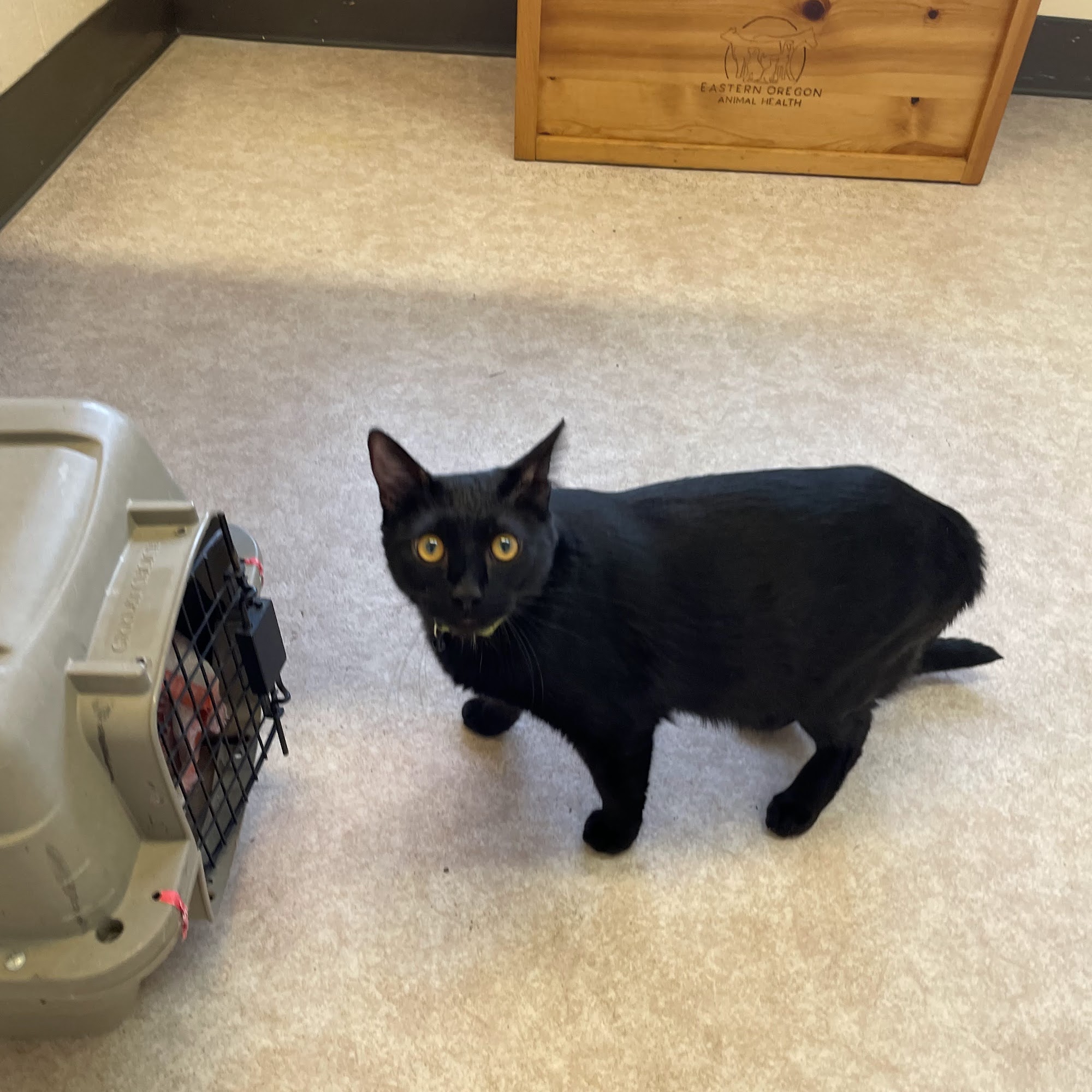 Eastern Oregon Animal Health Ontario