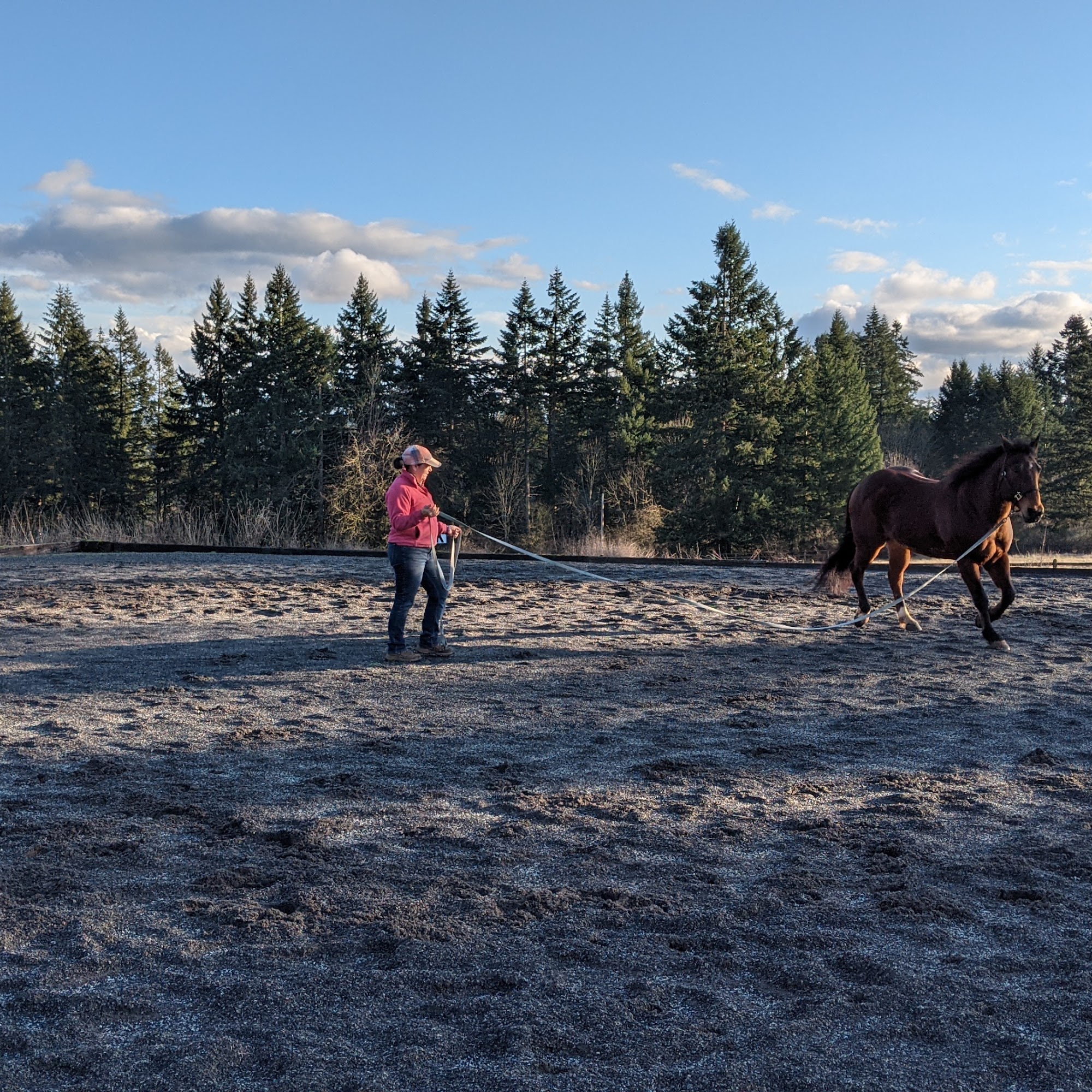Pacific Crest Equine Veterinary Services Oregon City