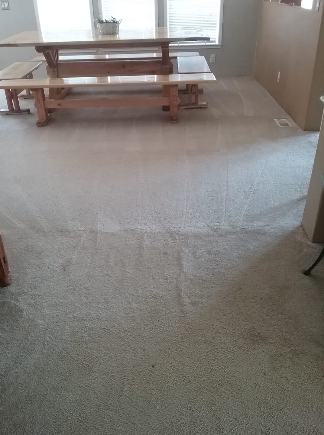 Executive Carpet Cleaning