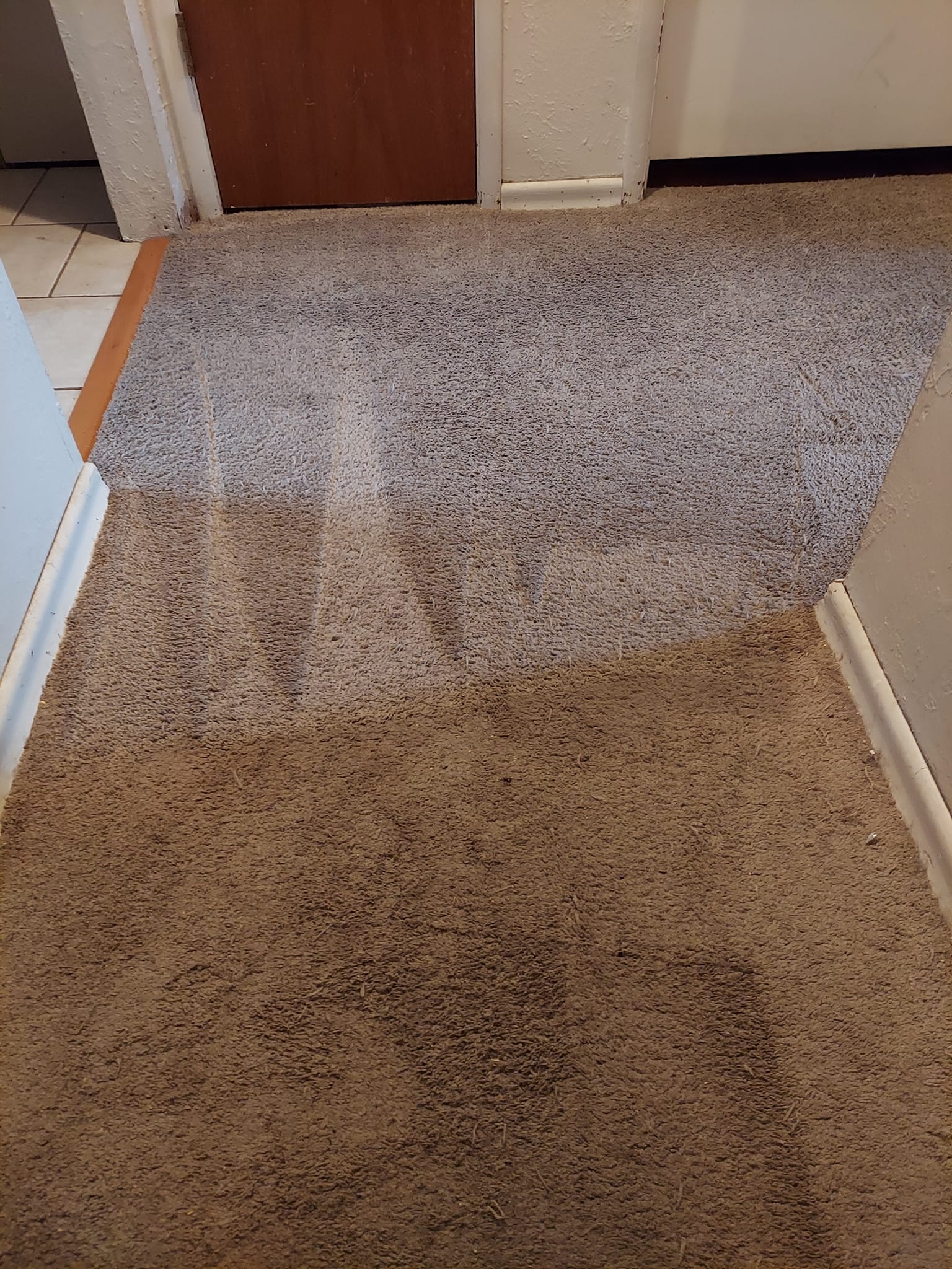Executive Carpet Cleaning