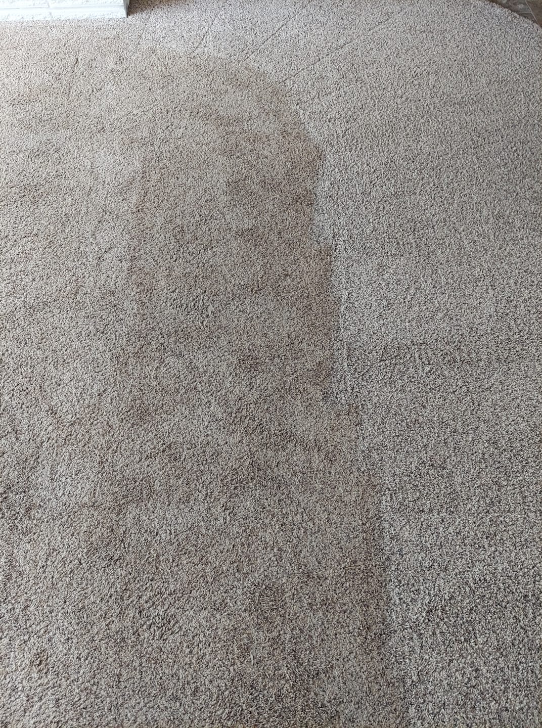 Executive Carpet Cleaning