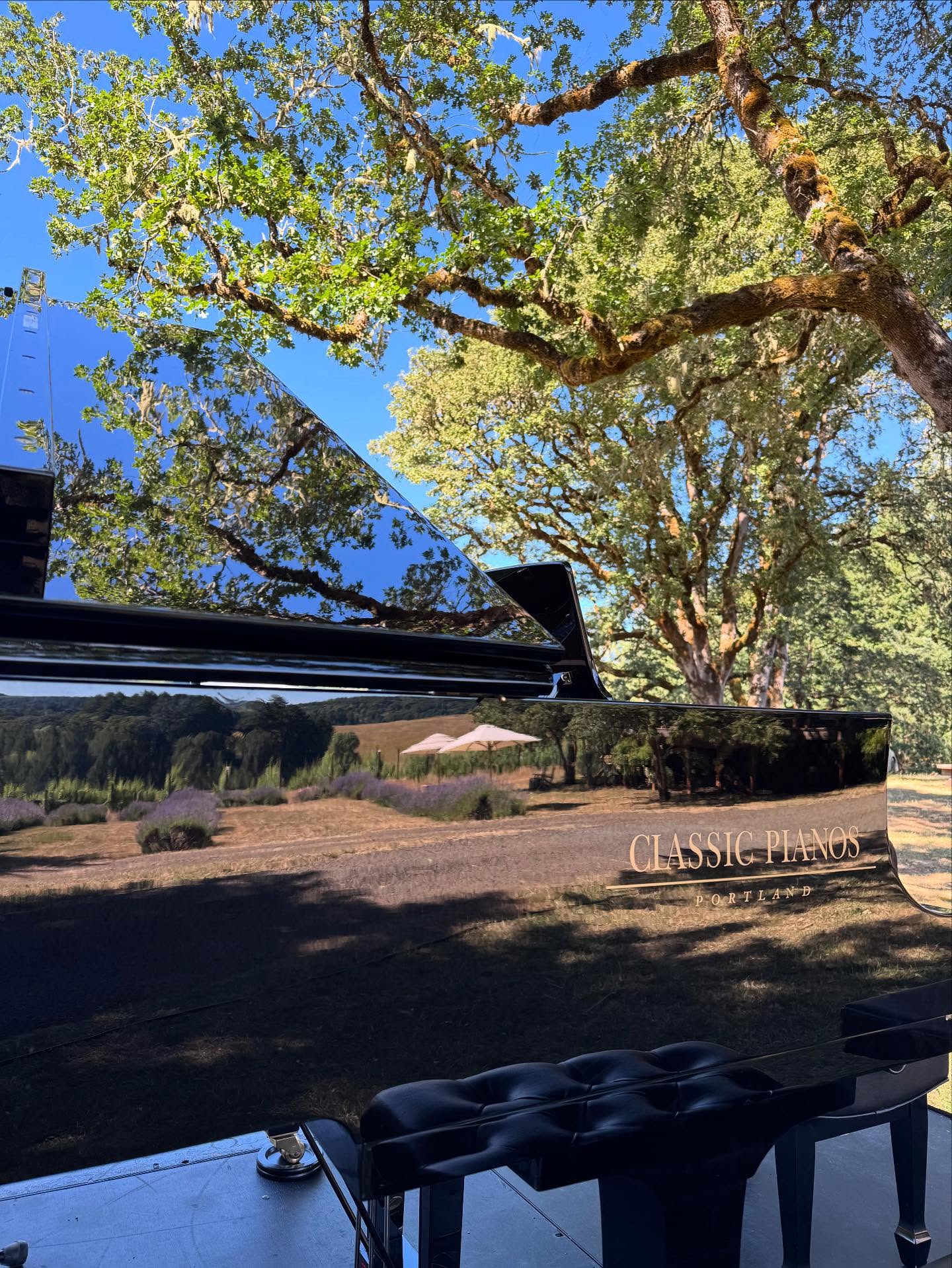 Lumos Wine Co. Philomath