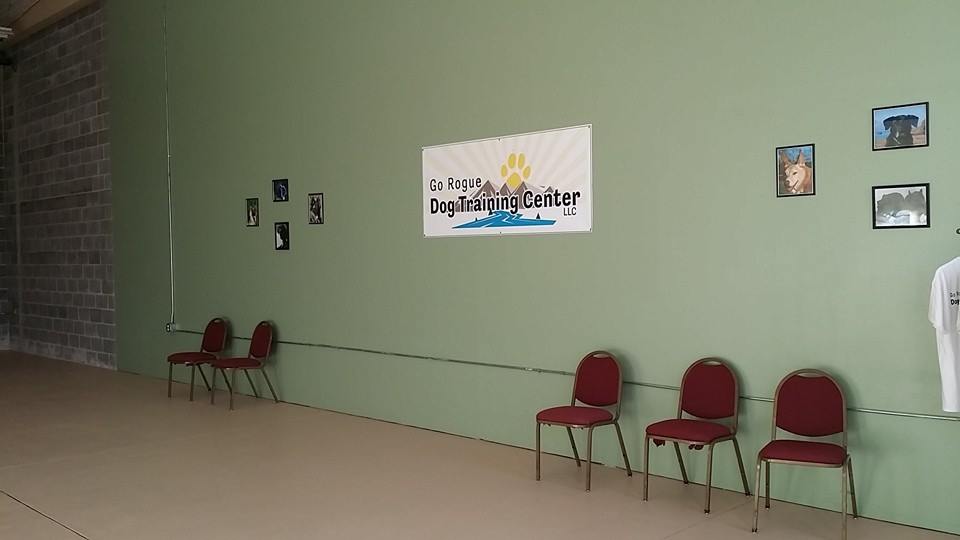 Go Rogue Dog Training Center LLC Phoenix