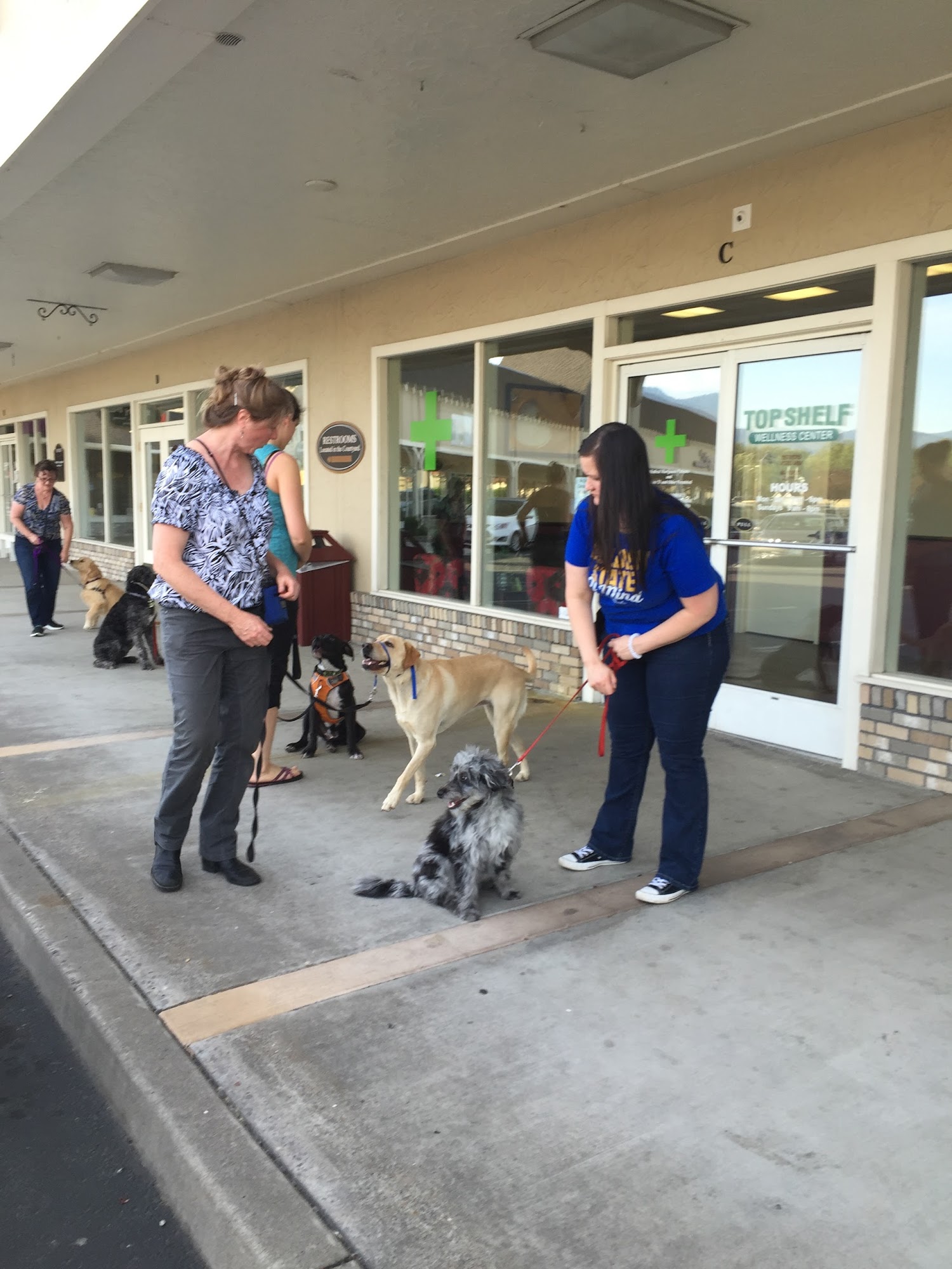 Good Dog! School Phoenix
