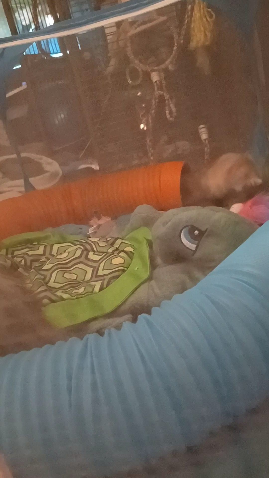 Happy Tails Pet Supplies Port Orford