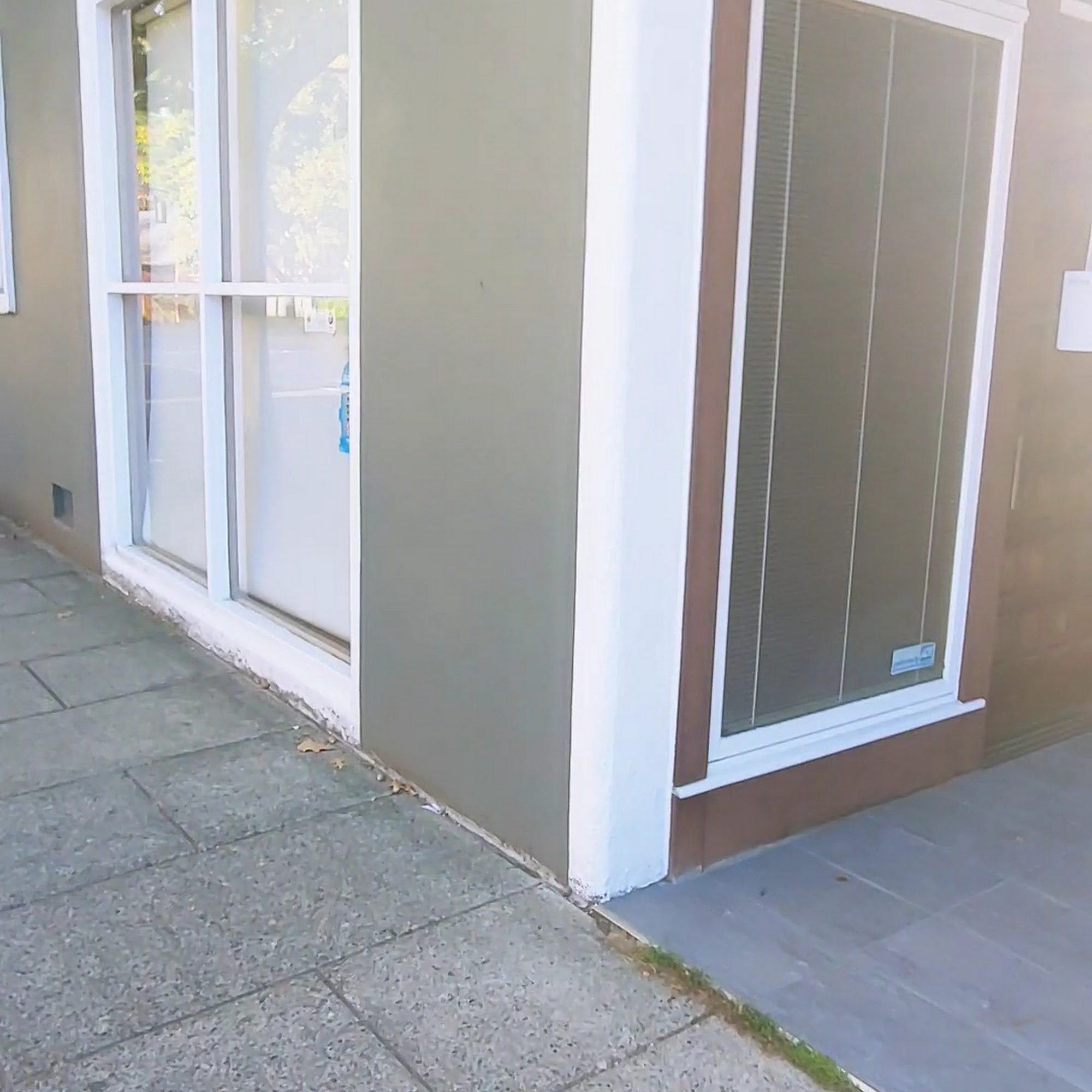 Portland Animal Clinic Portland