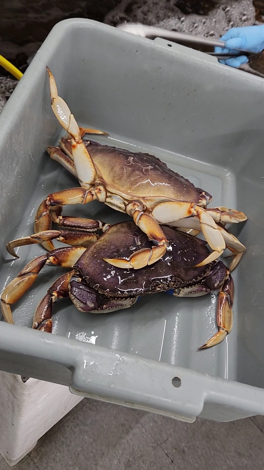 ABC Seafood Company Menu