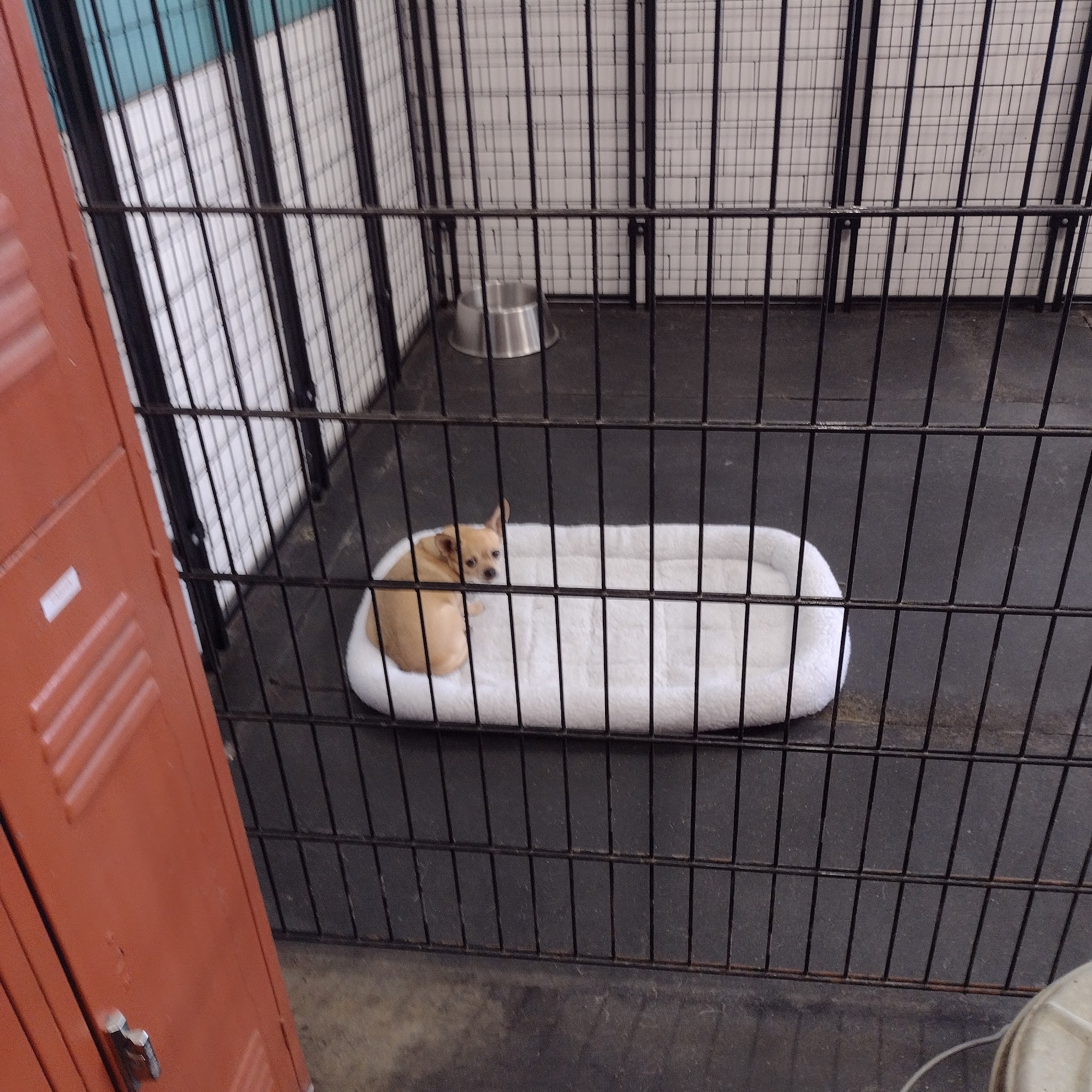 New Life Asher House Portland