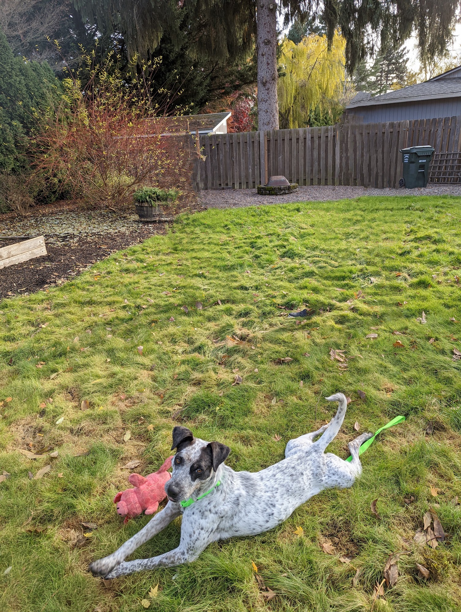 New Life Asher House Portland