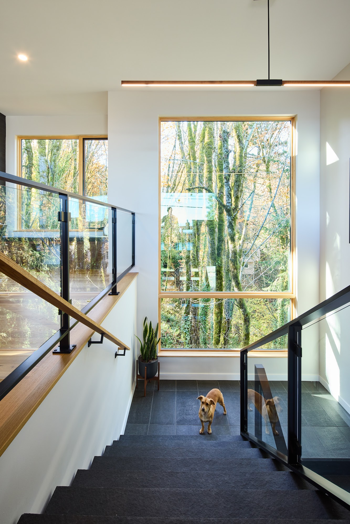 Jack Barnes Architect, PC