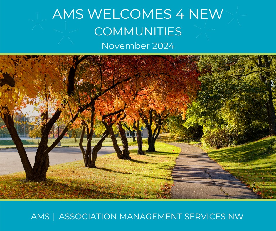 AMS Portland