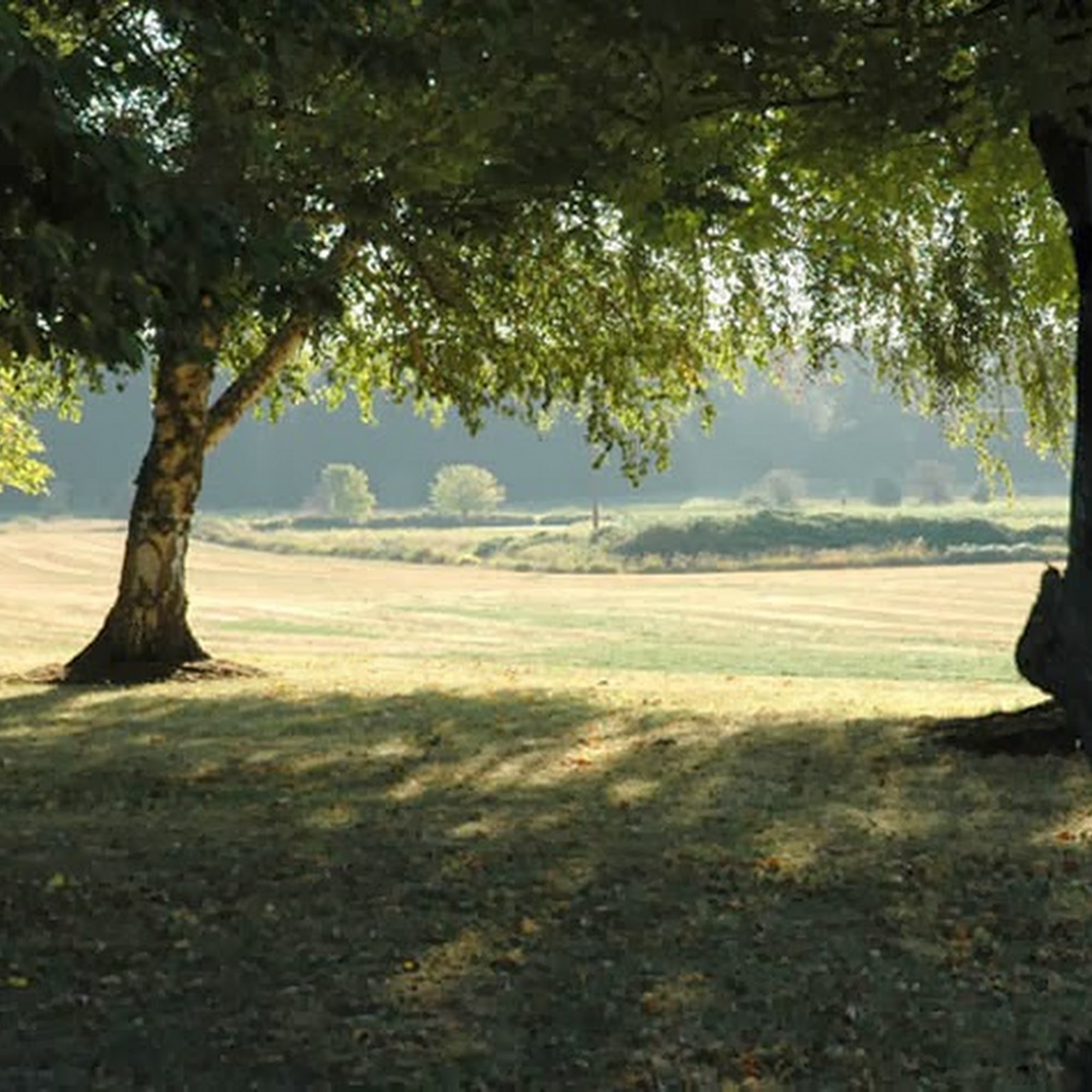 The Charlton Kennels and Farm Portland