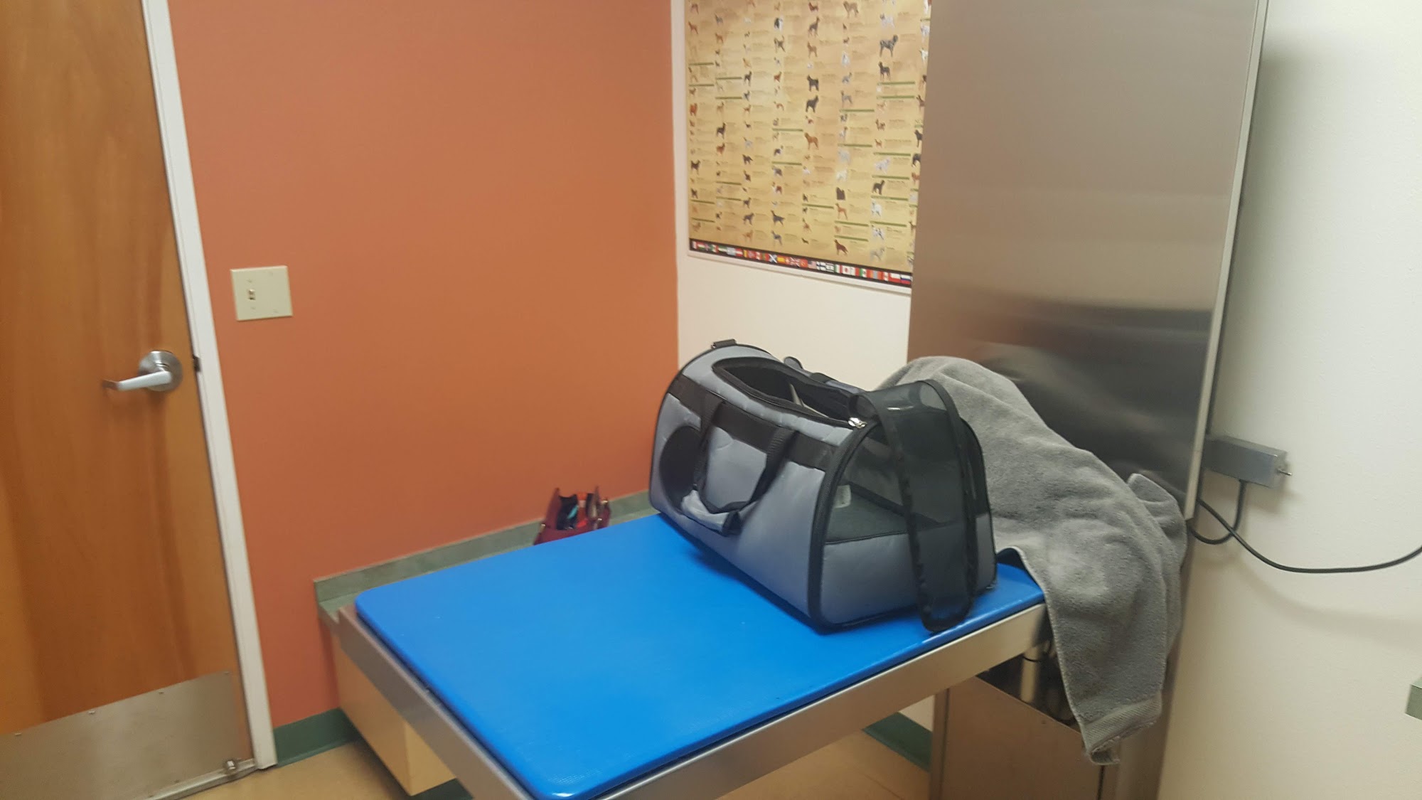 Hillsdale Veterinary Hospital Portland