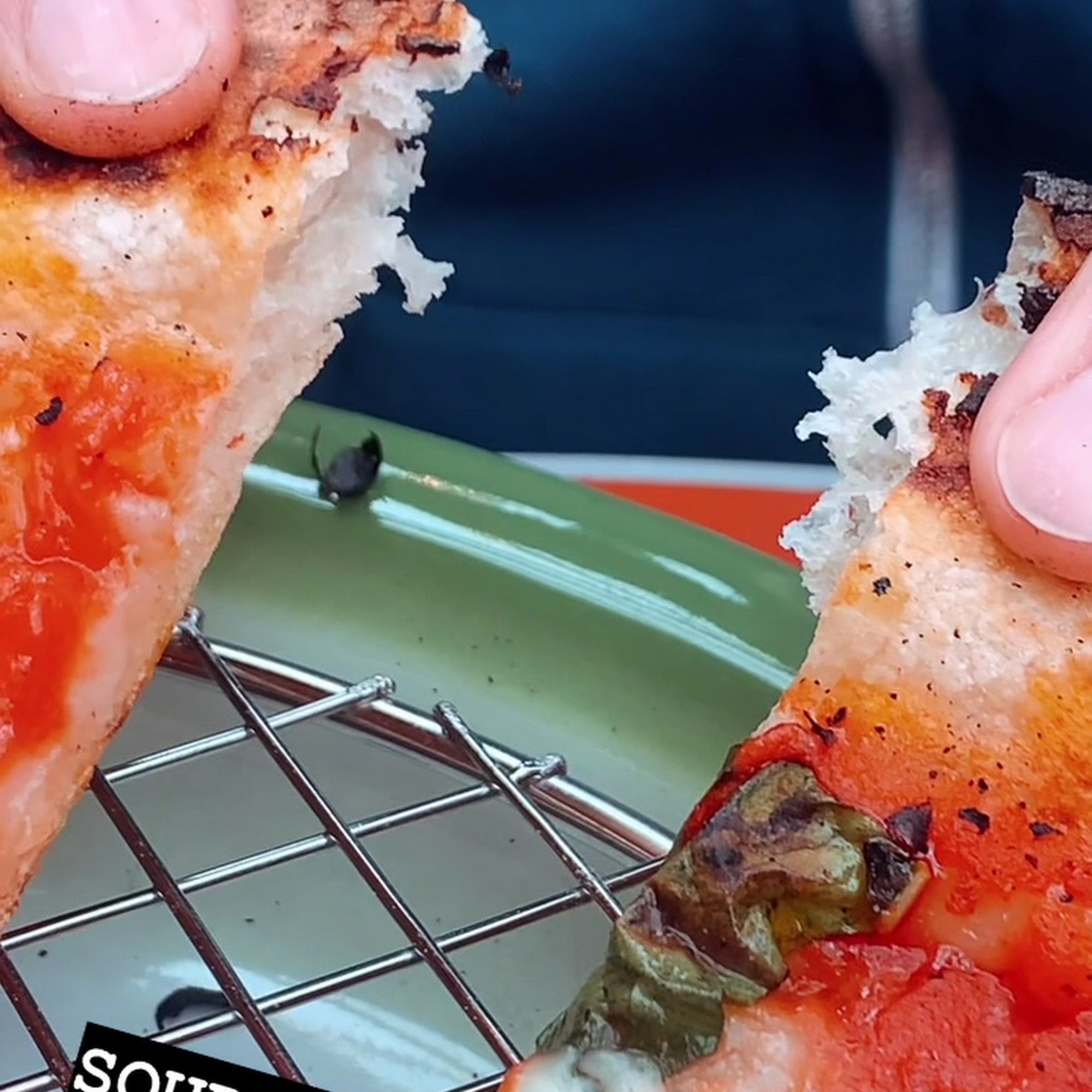 The Turning Peel Portland