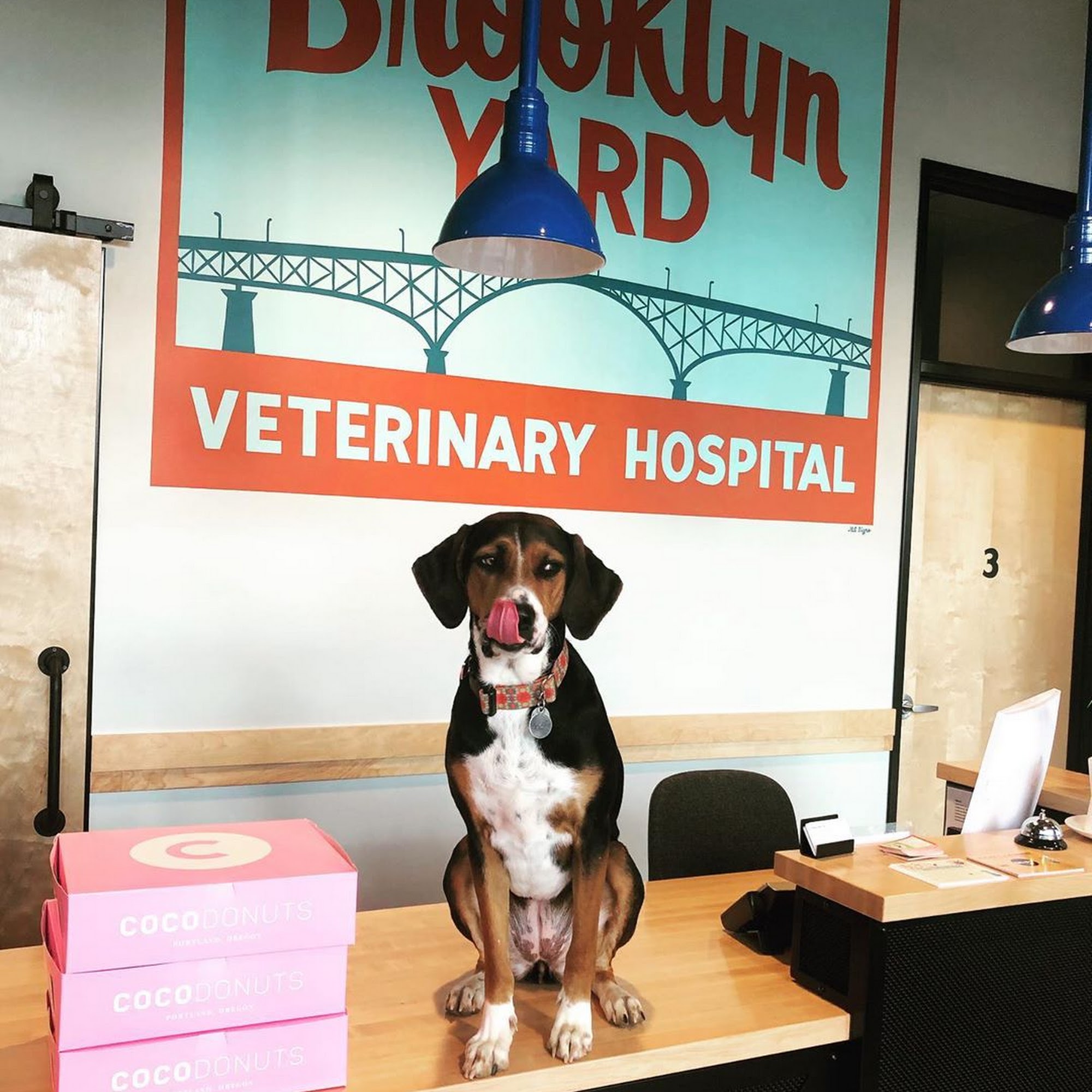 Brooklyn Yard Veterinary Hospital Portland