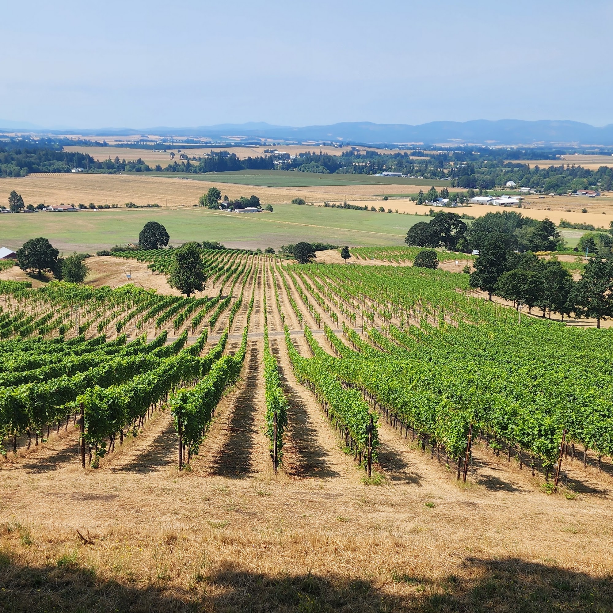 Backcountry Wine Tours Portland