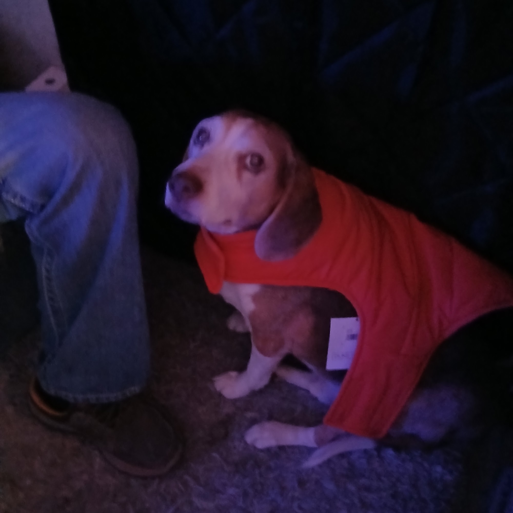 Prineville Veterinary Clinic Prineville