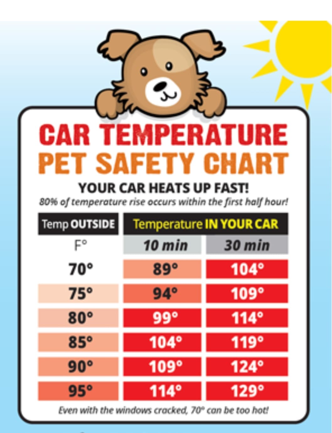 Muddy Buddies Pet Wash Prineville