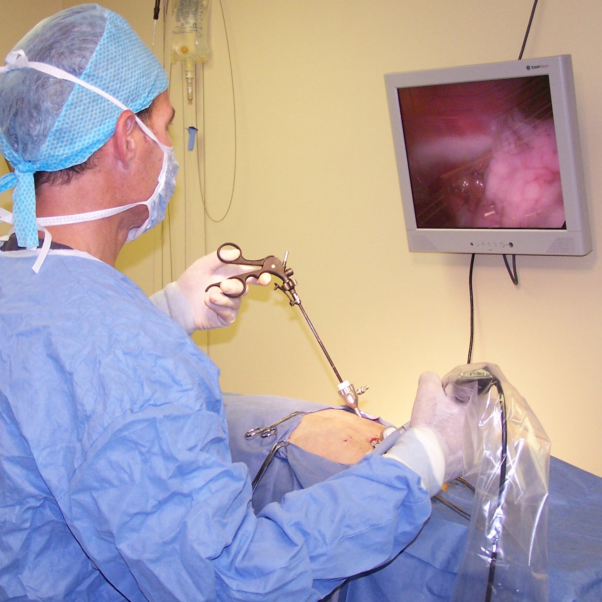 Redmond Veterinary Clinic Redmond