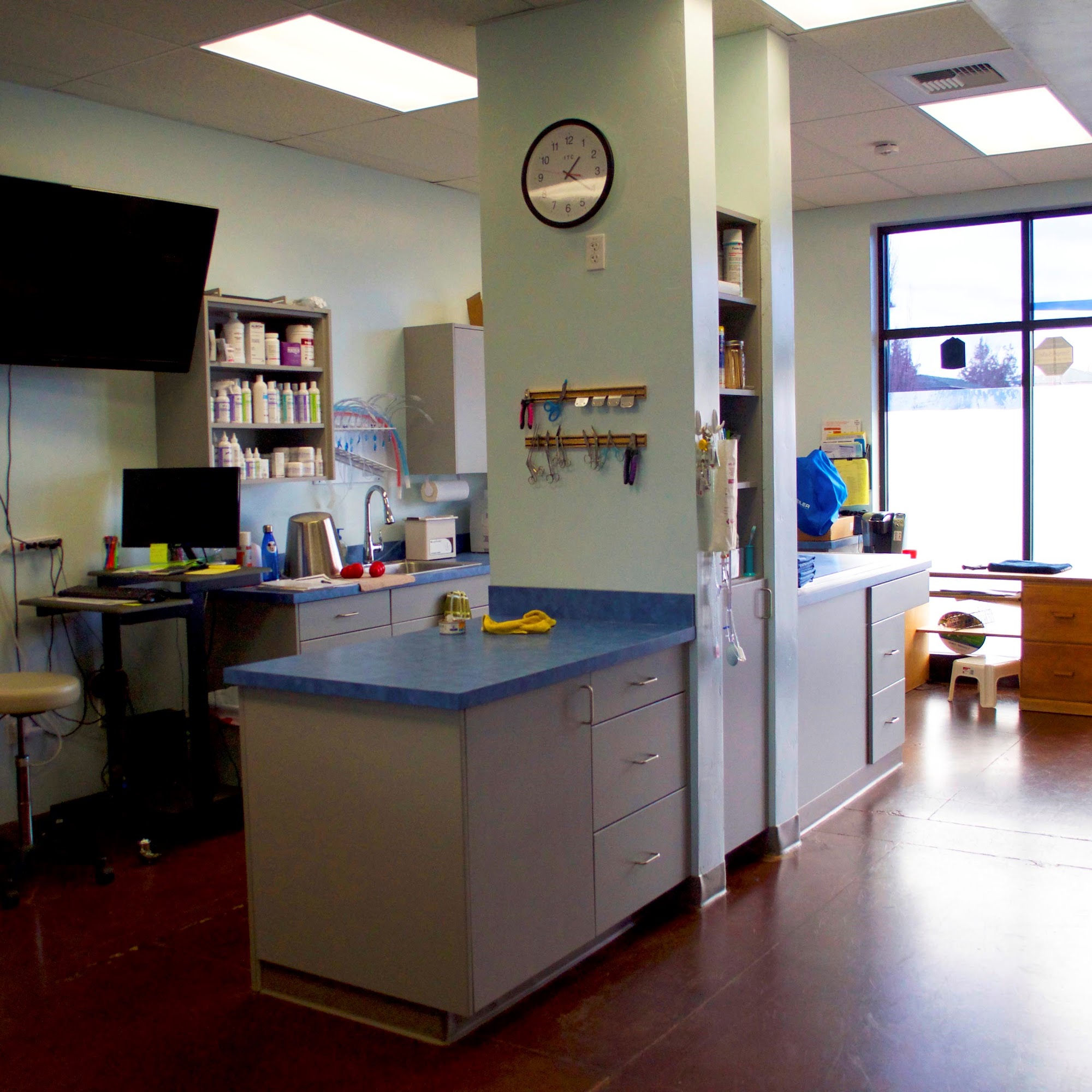 Mountain View Animal Hospital Redmond