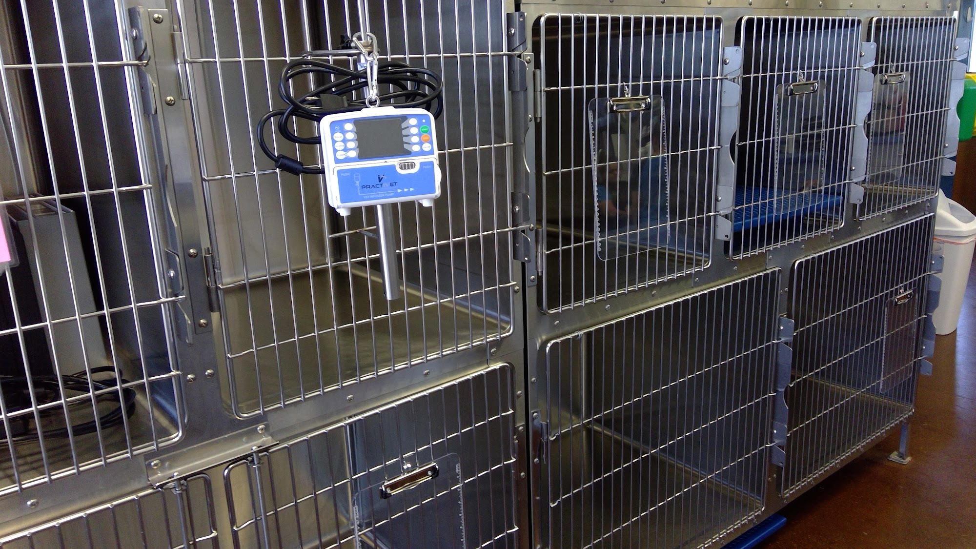 Mountain View Animal Hospital Redmond