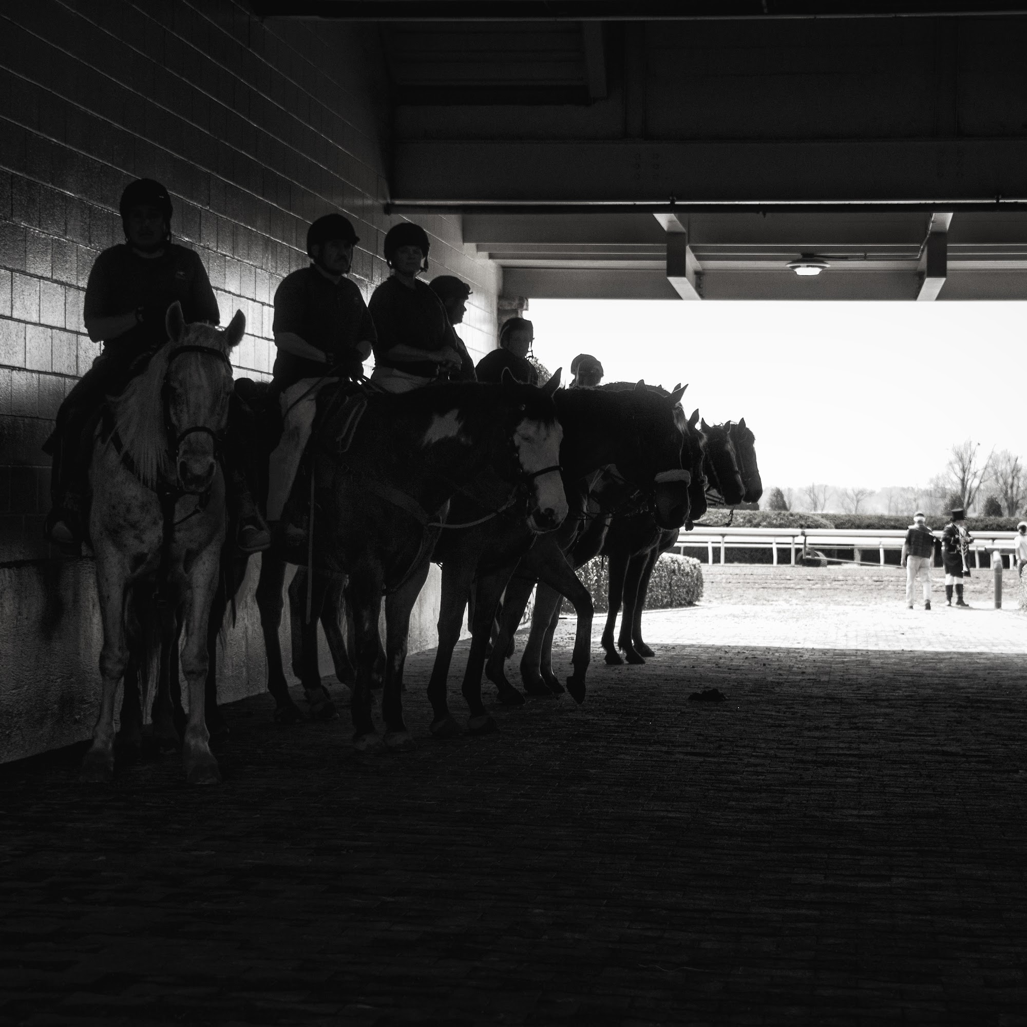 Majesty's Animal Products Redmond