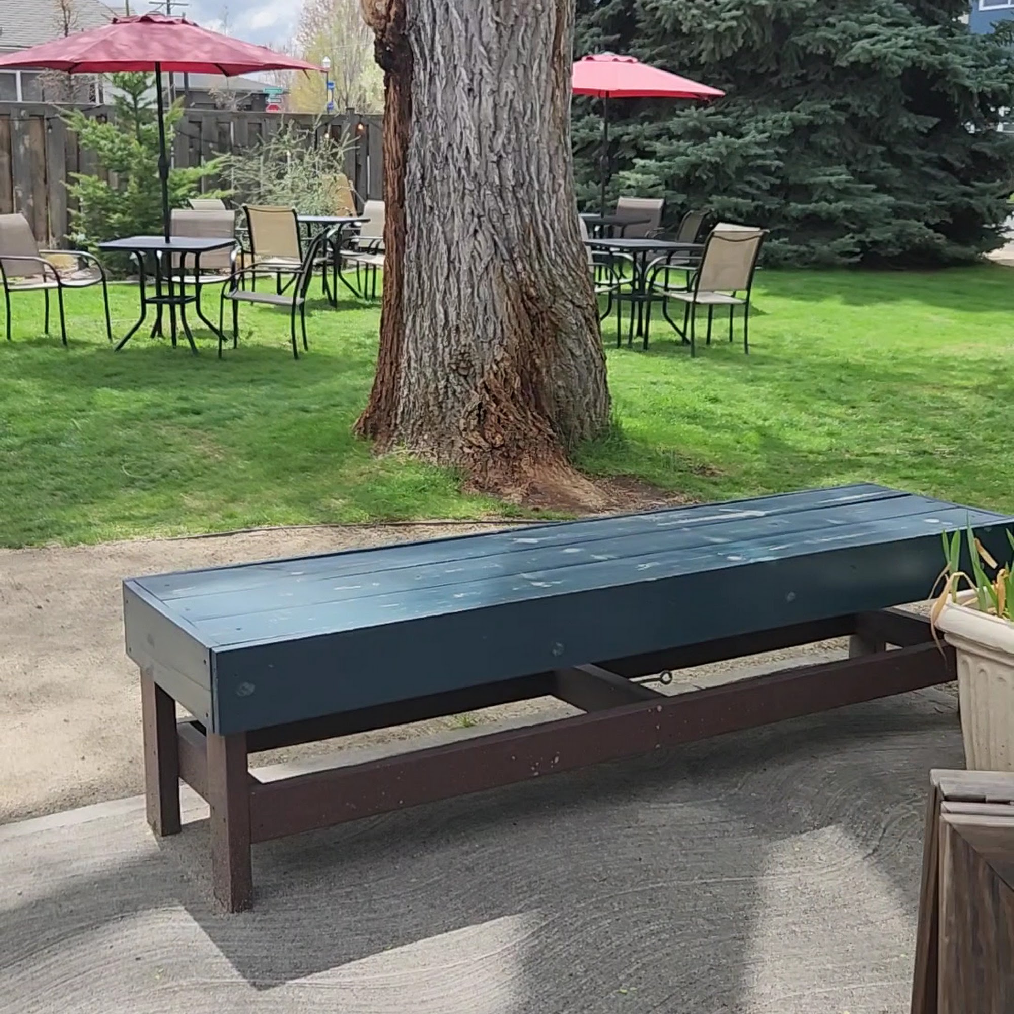 Tite Knot Craft Coffee Redmond