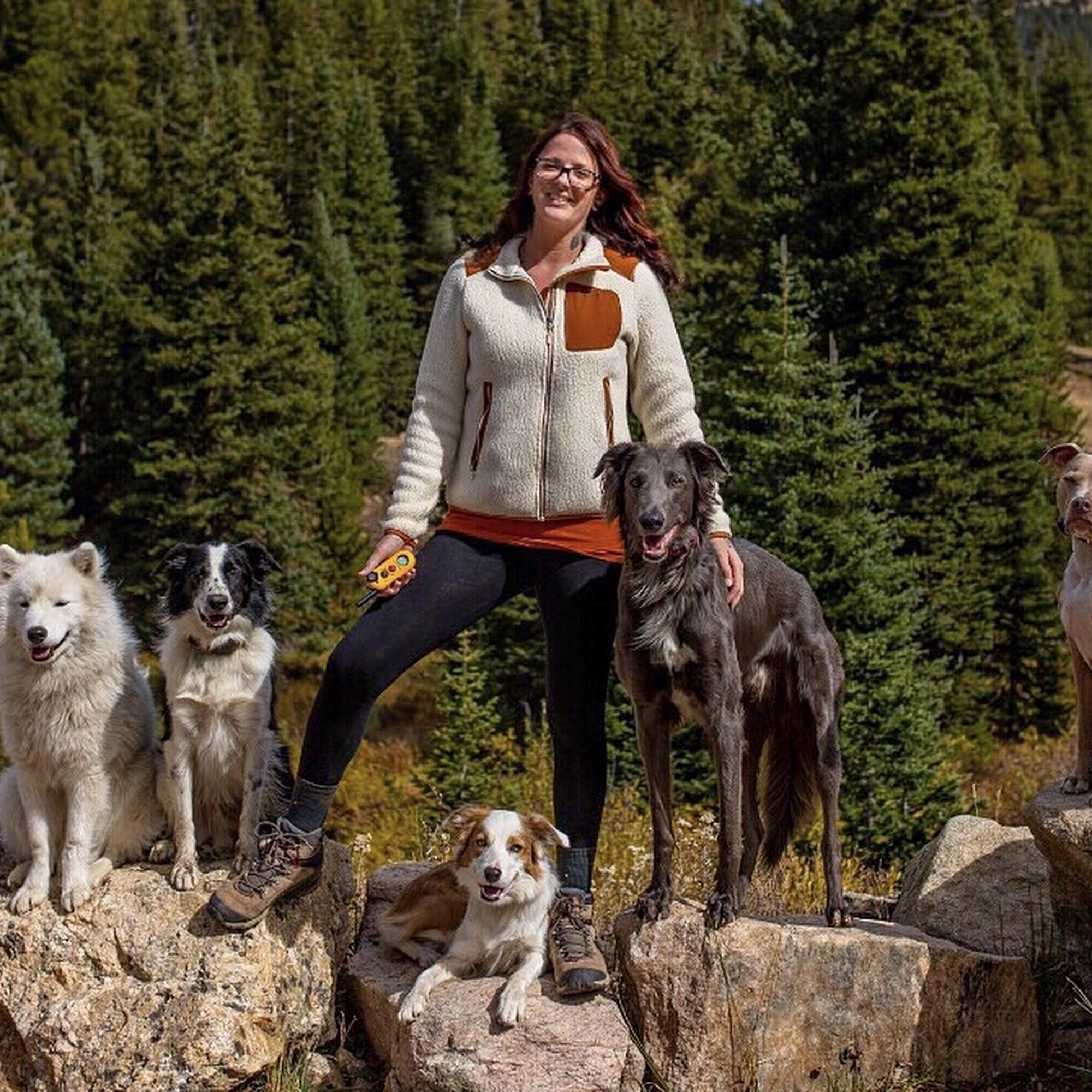 Flash Dog Training, LLC Redmond