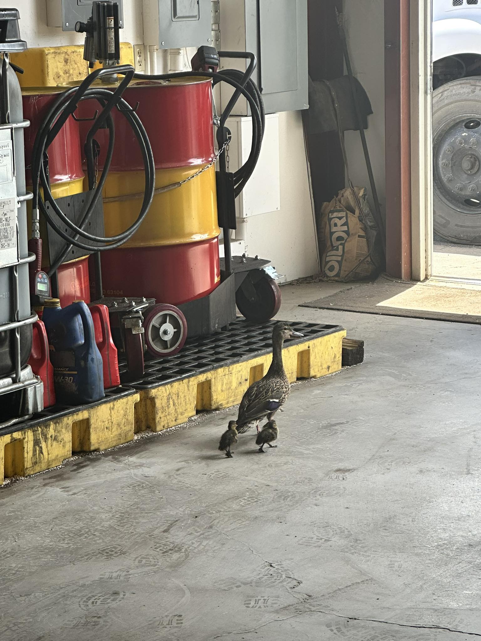 Tim Bloom Construction, Inc