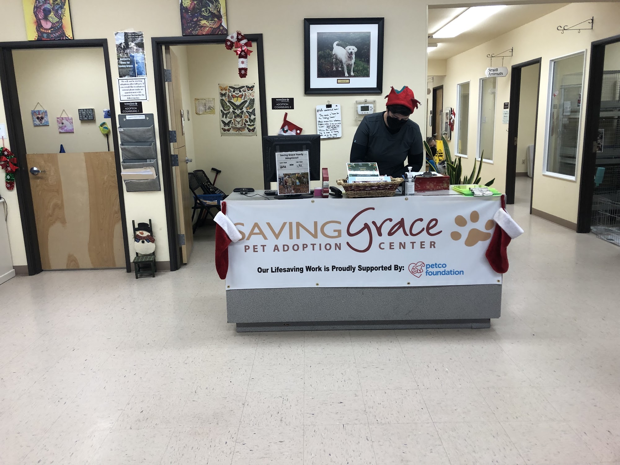 Saving Grace Pet Adoption Center Roseburg