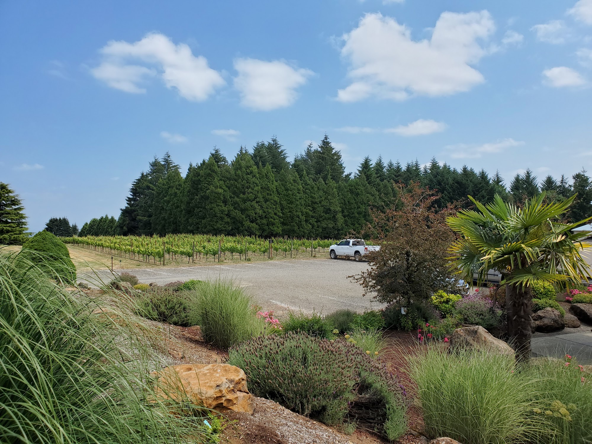 Cubanisimo Vineyards Menu