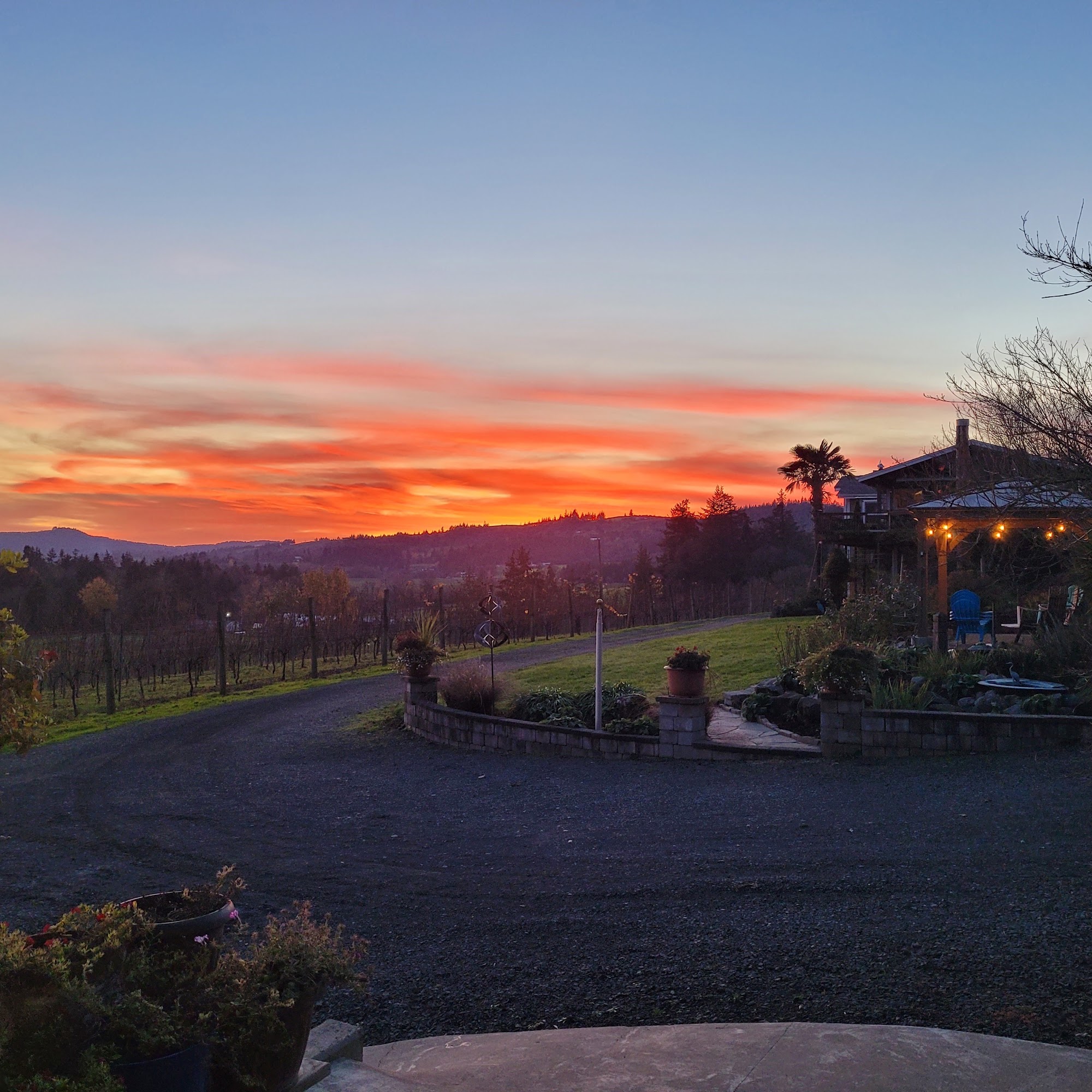 Stangeland Vineyards & Winery Salem