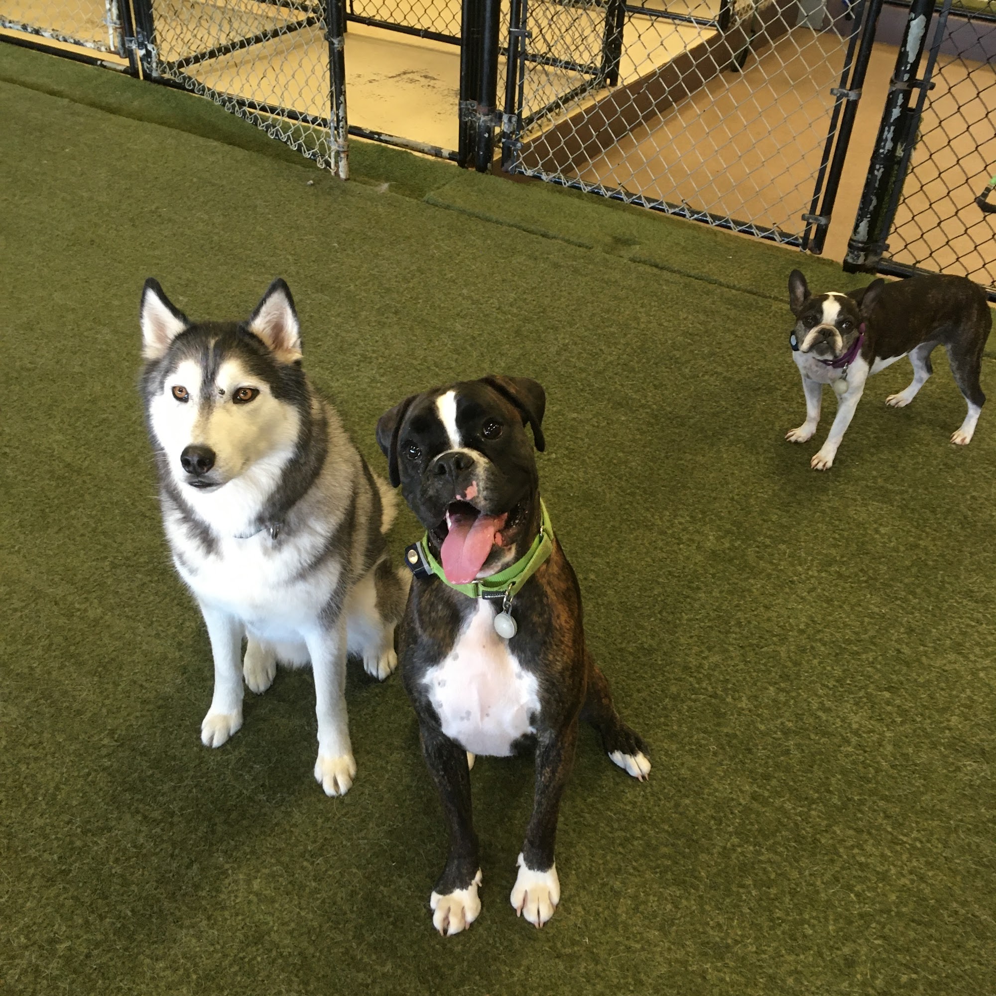 MT. Hood Pet Resort Sandy