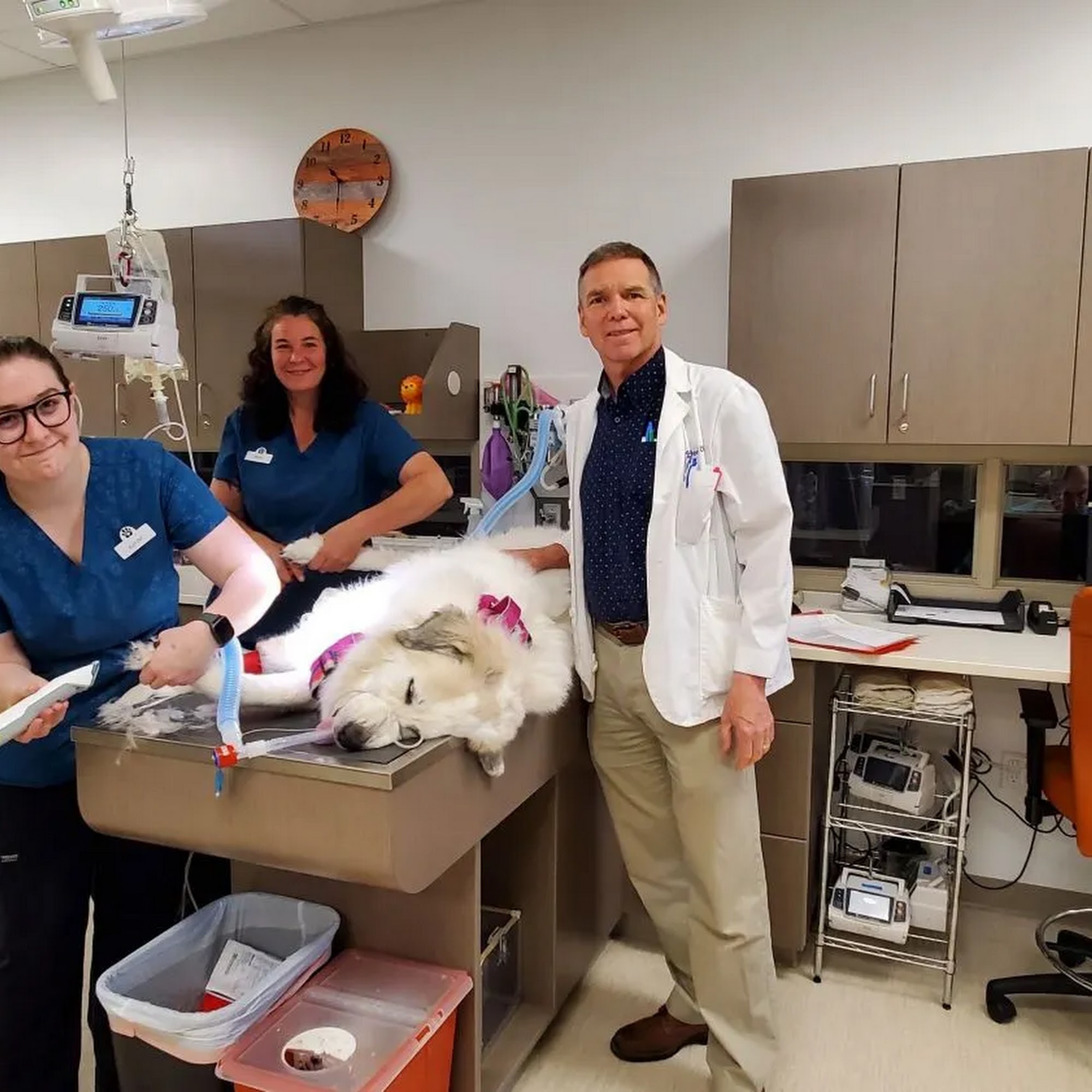 Sherwood Family Pet Clinic Sherwood